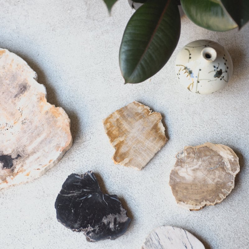 Wood Coaster Natural