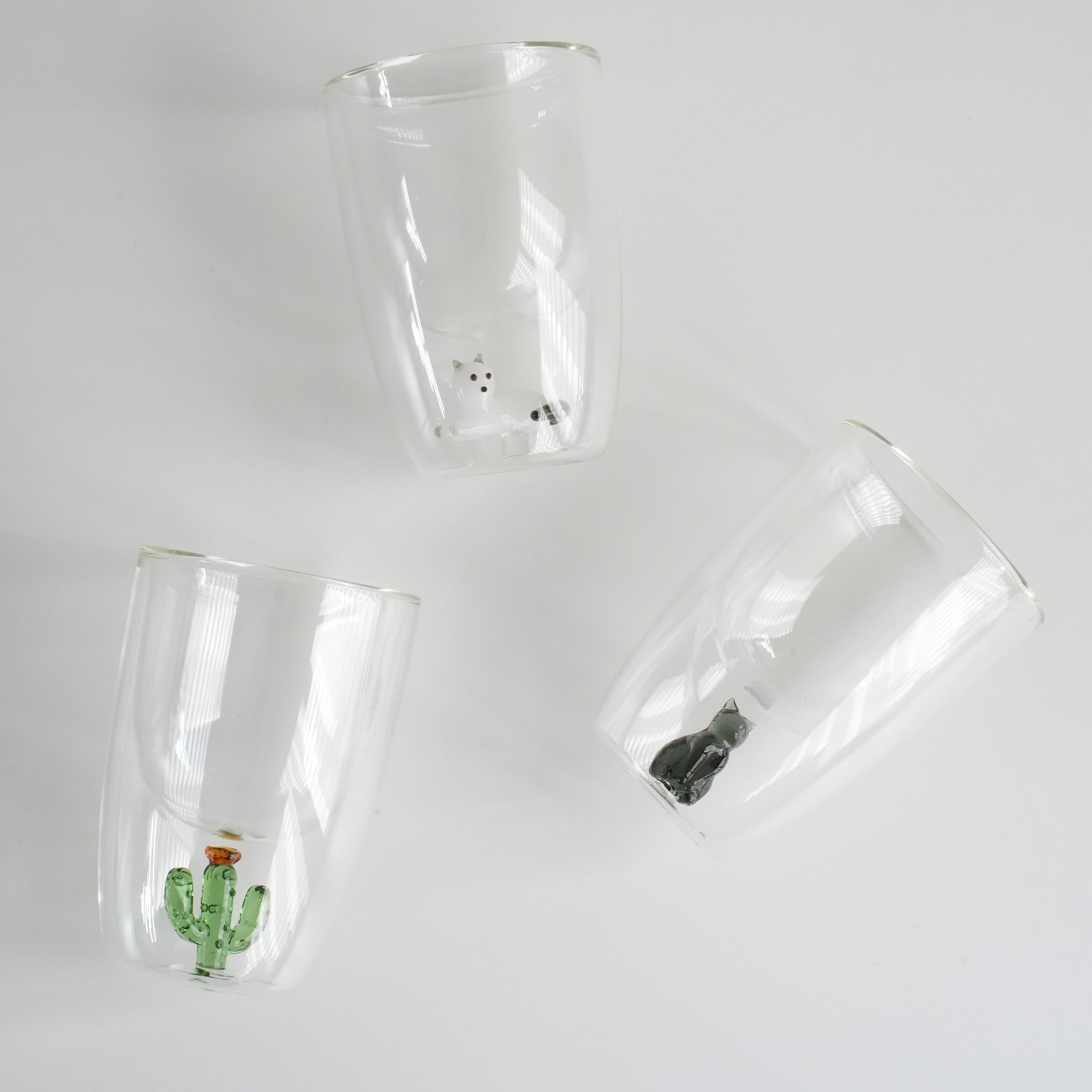 Double Wall Glass Tumbler