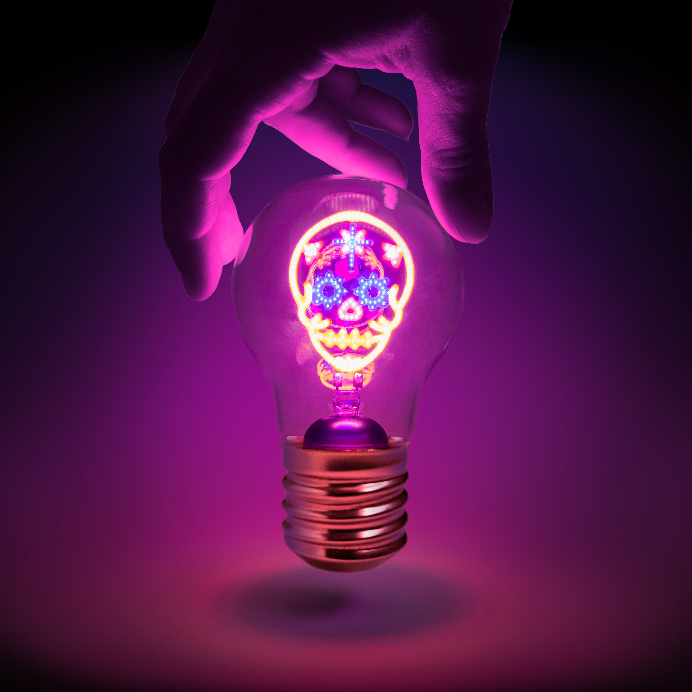 Cordless Lightbulb Skull