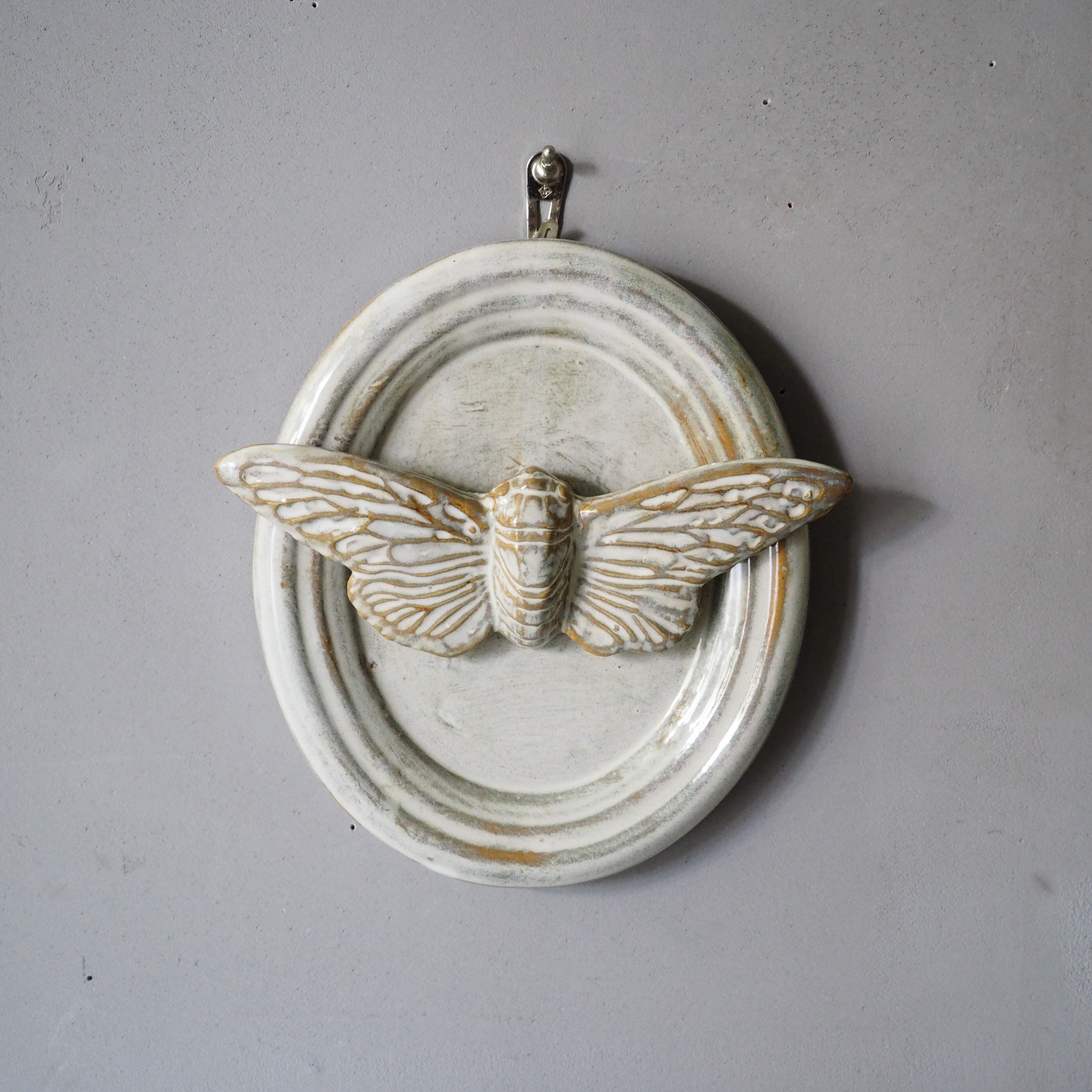 Cicada Trophy AH-016