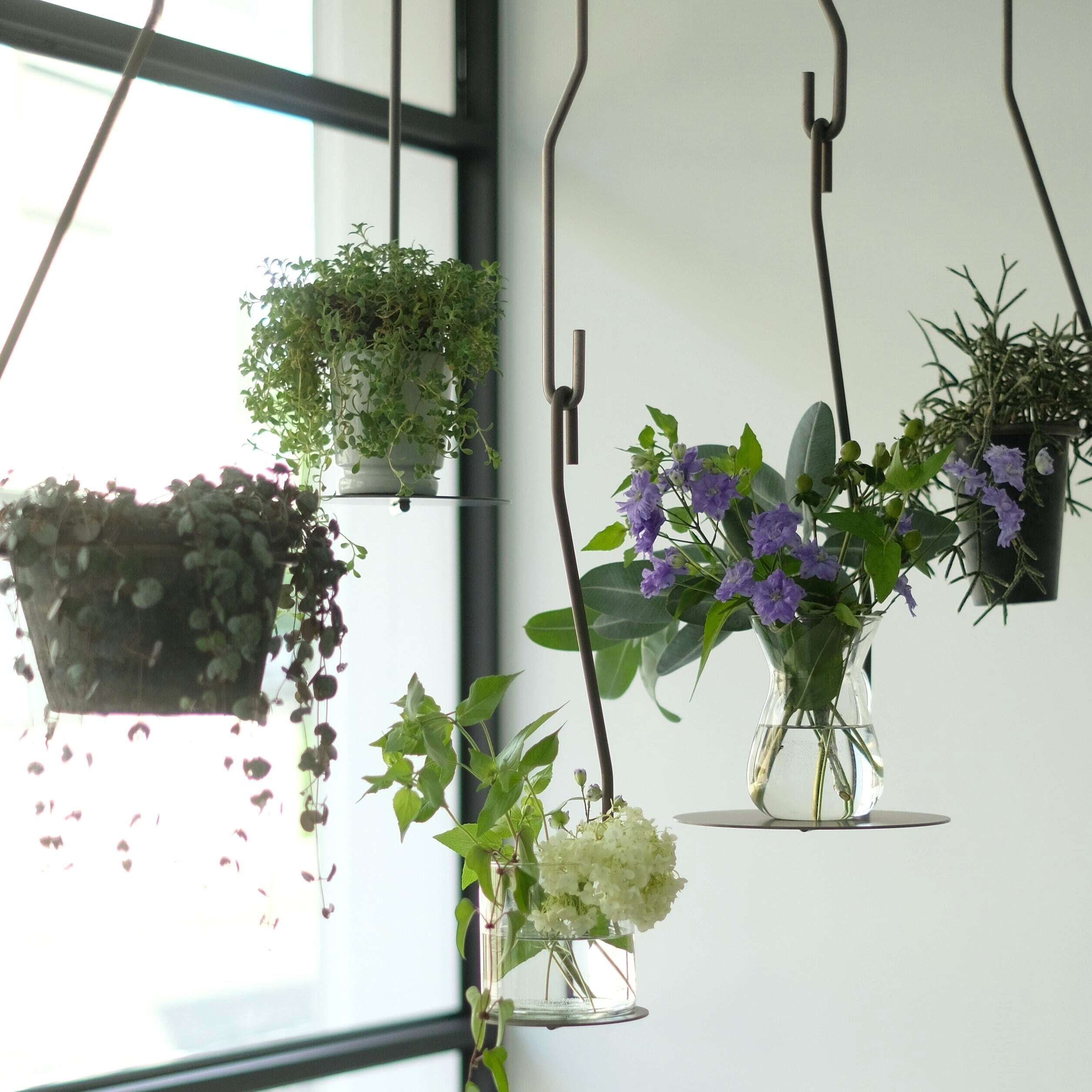 PLOP Hanging Plate S