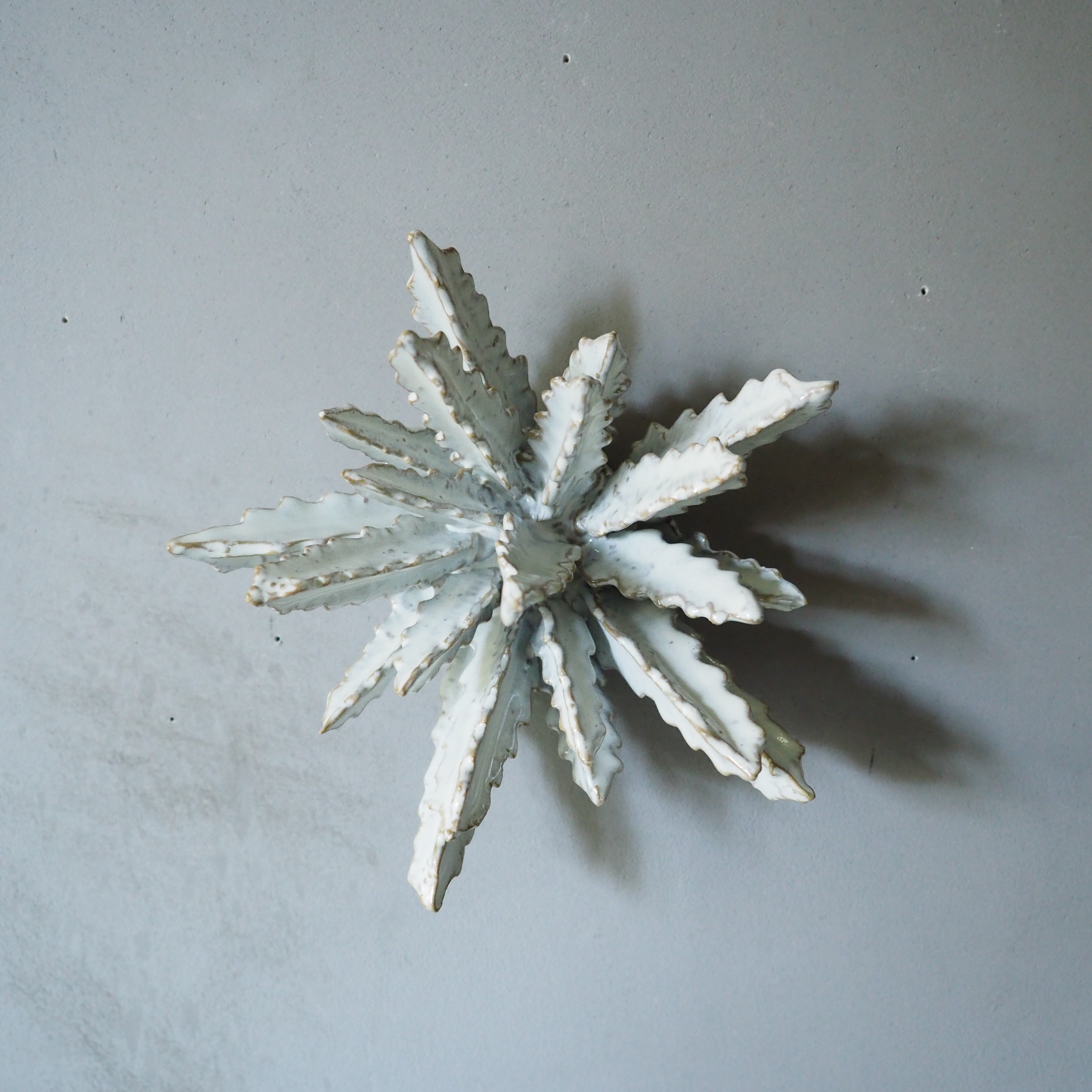 Urchin Star II OC-008