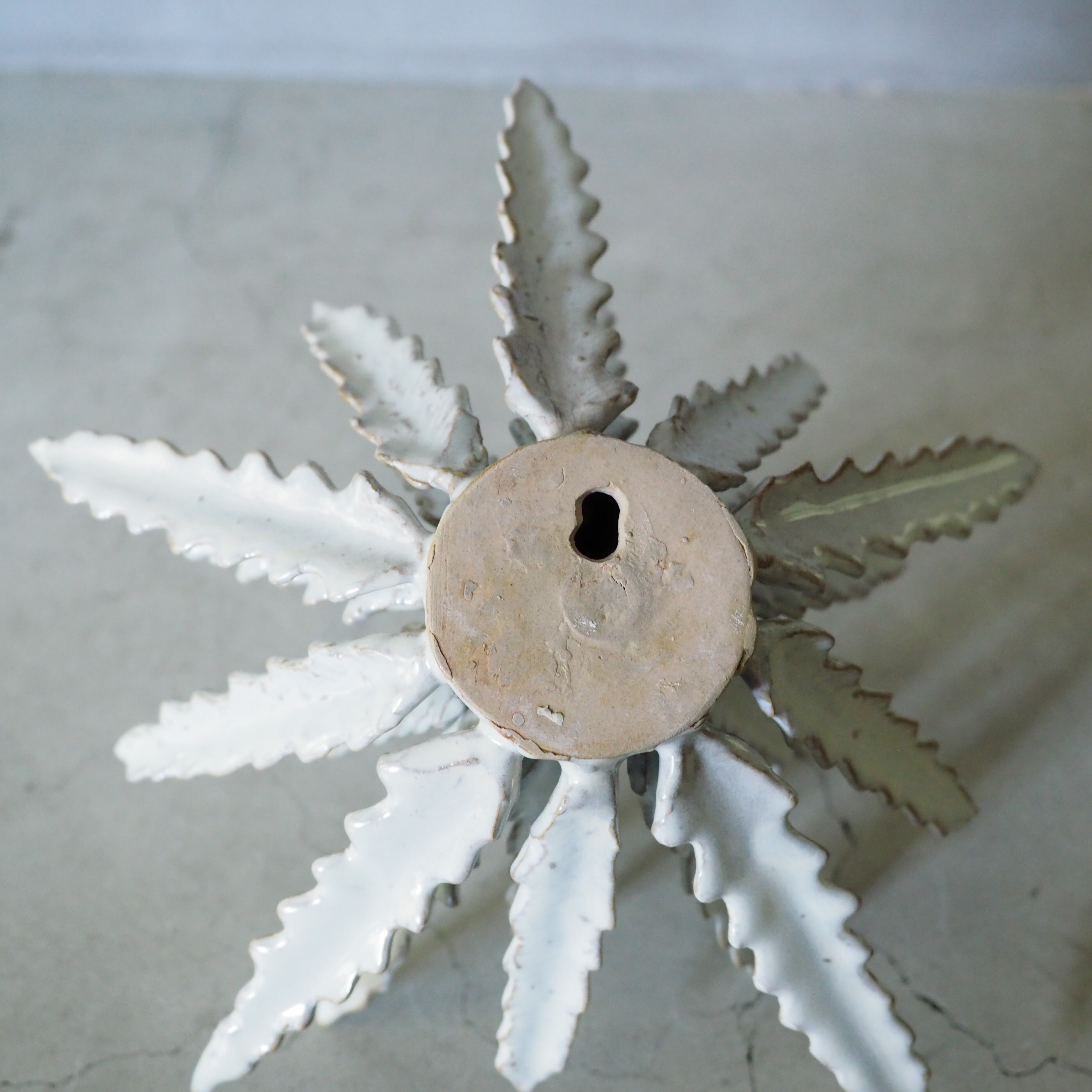 Urchin Star I OC-007