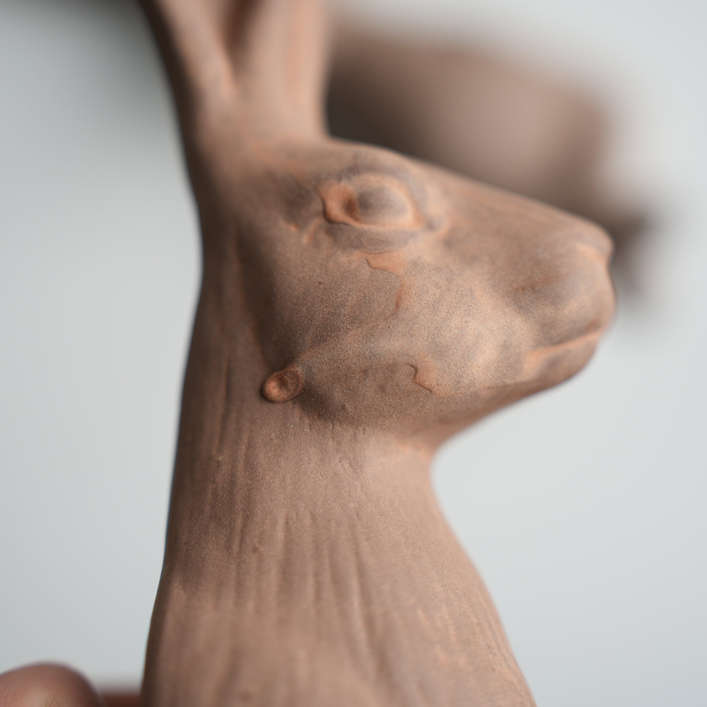 Curious Hare Hook Brown KN-026H-20