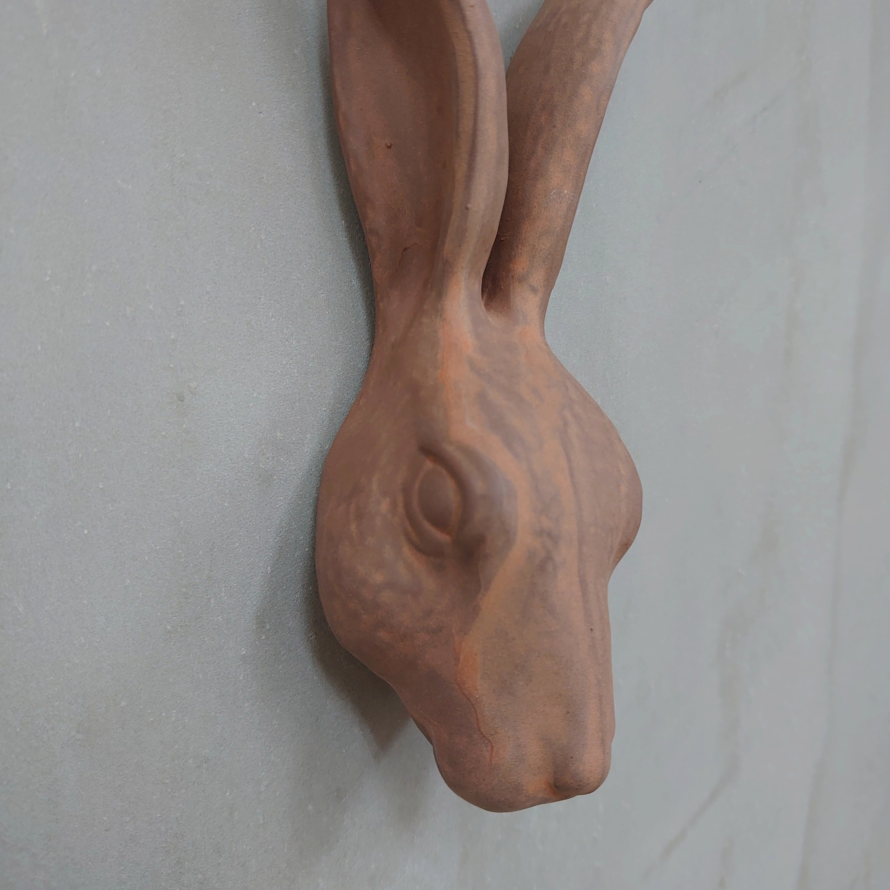 Hare Hook Brown KN-025H-20