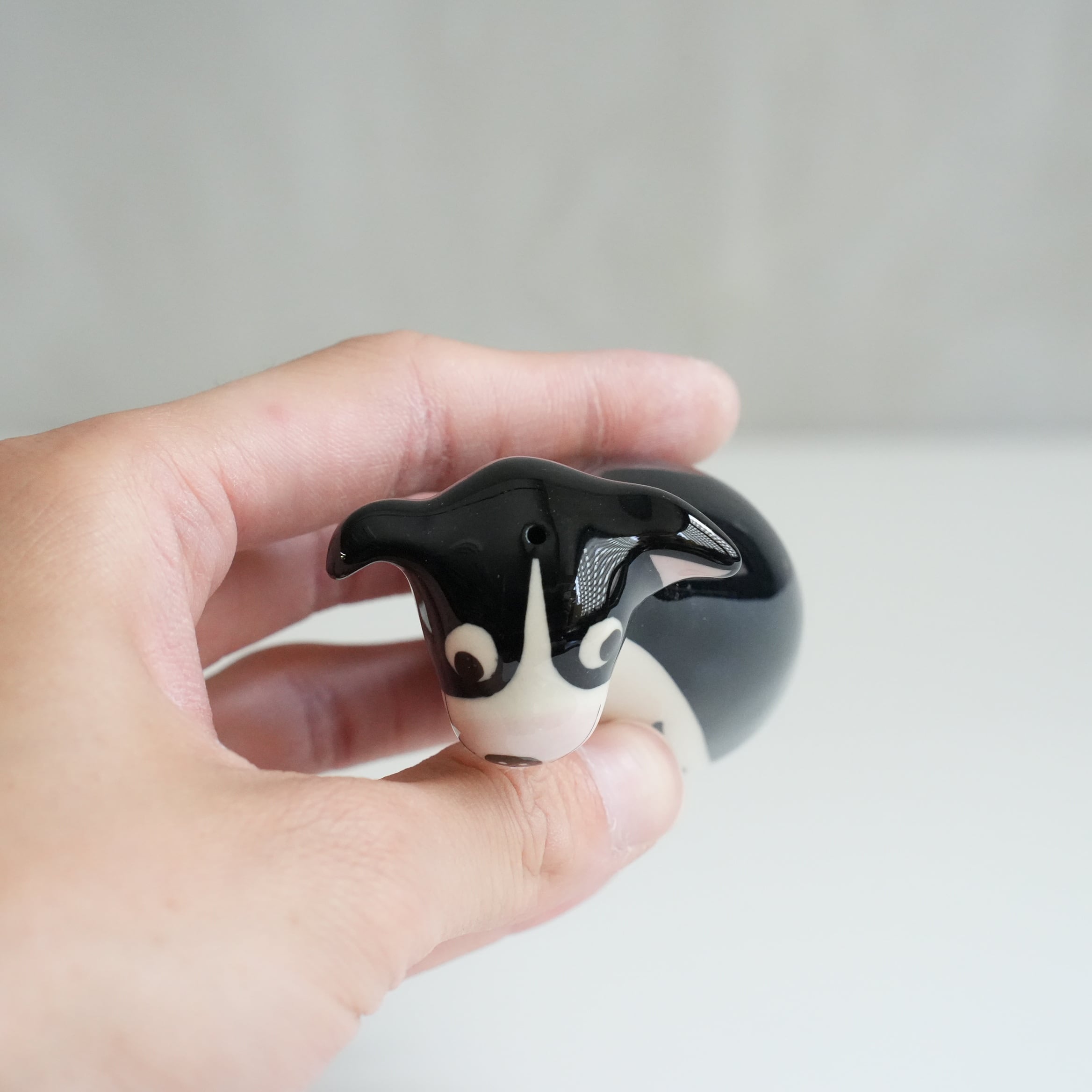 Salt and Peppers Boston Terrier