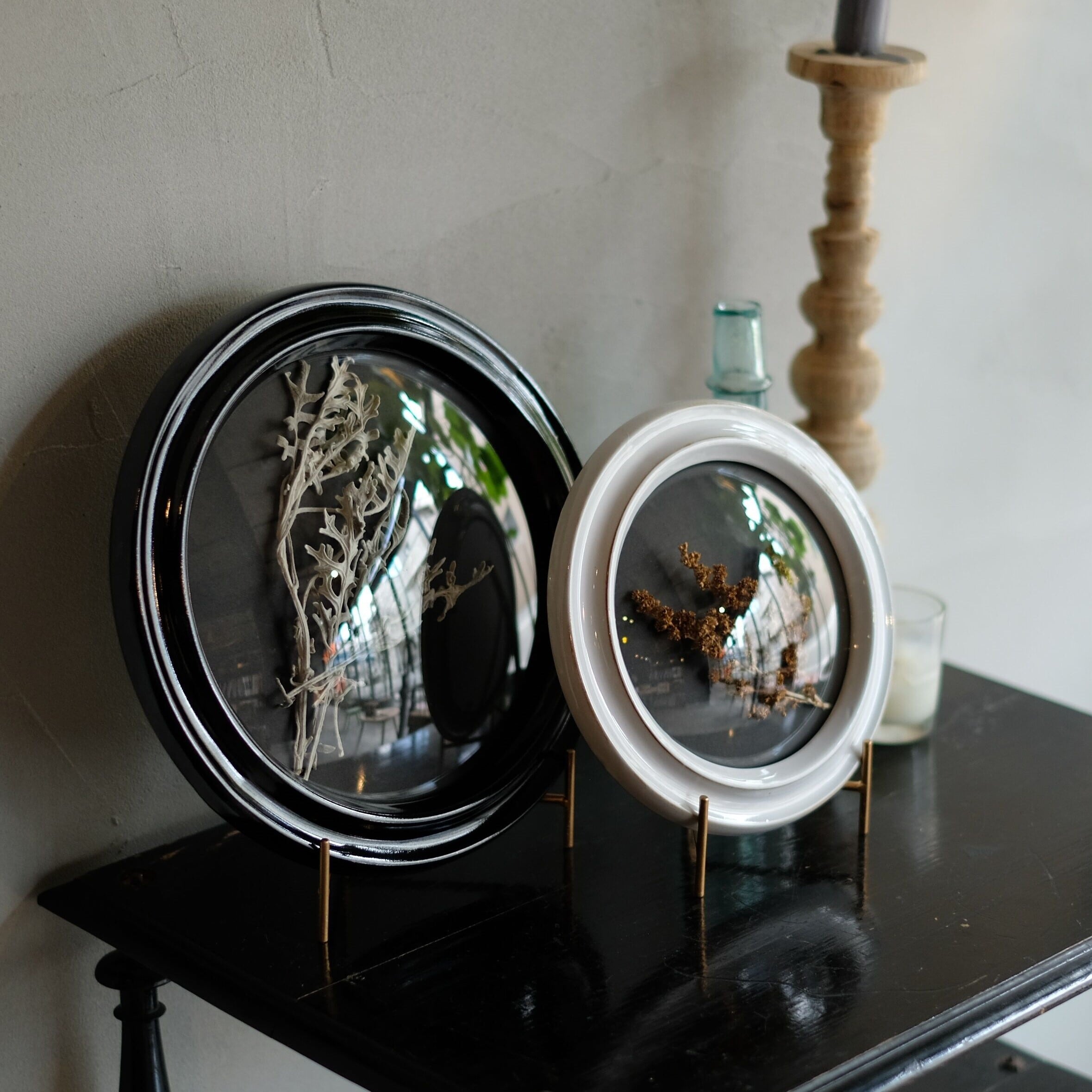 AS POTTERY / Convex Glass Case (L)