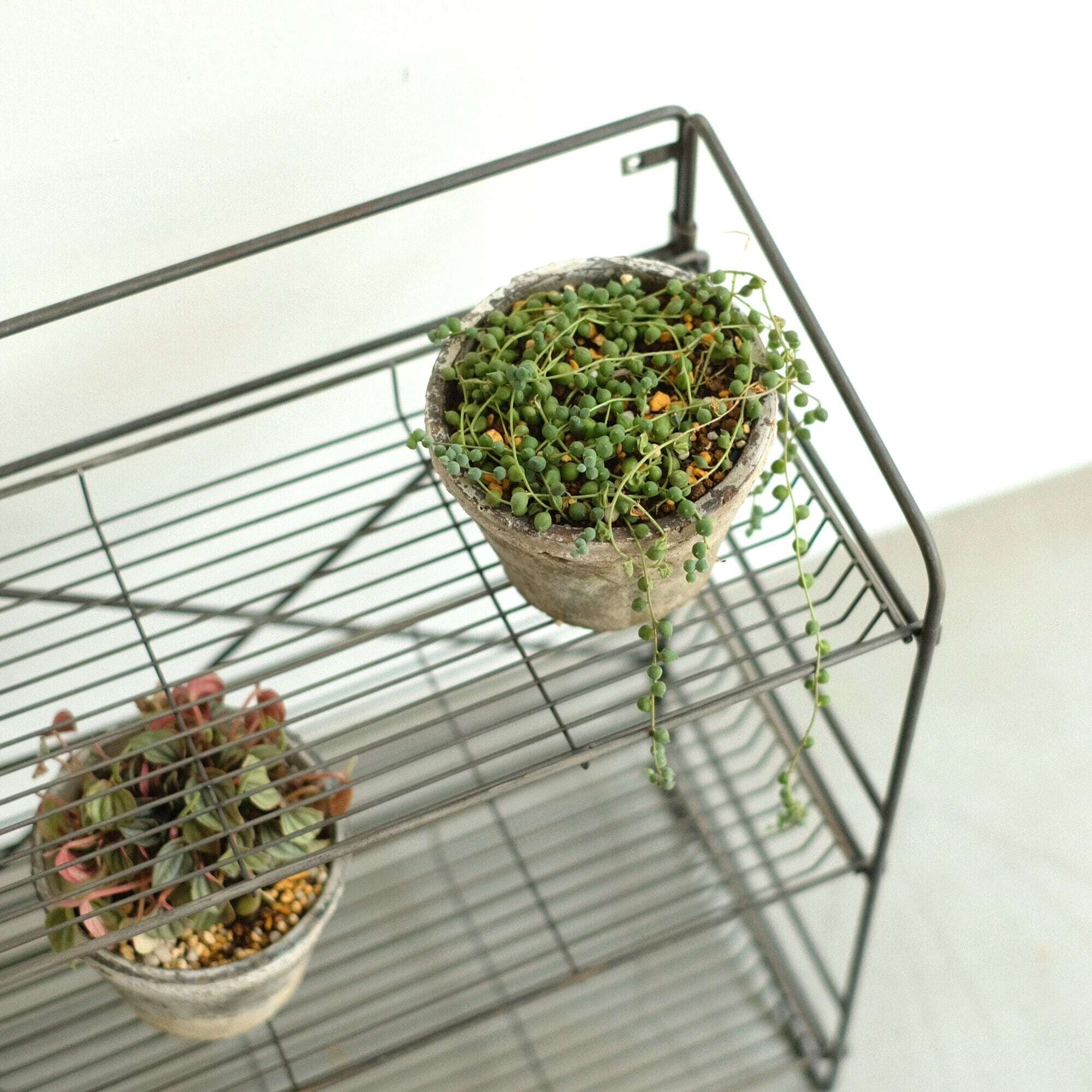 HABANA Folding Shelf LL