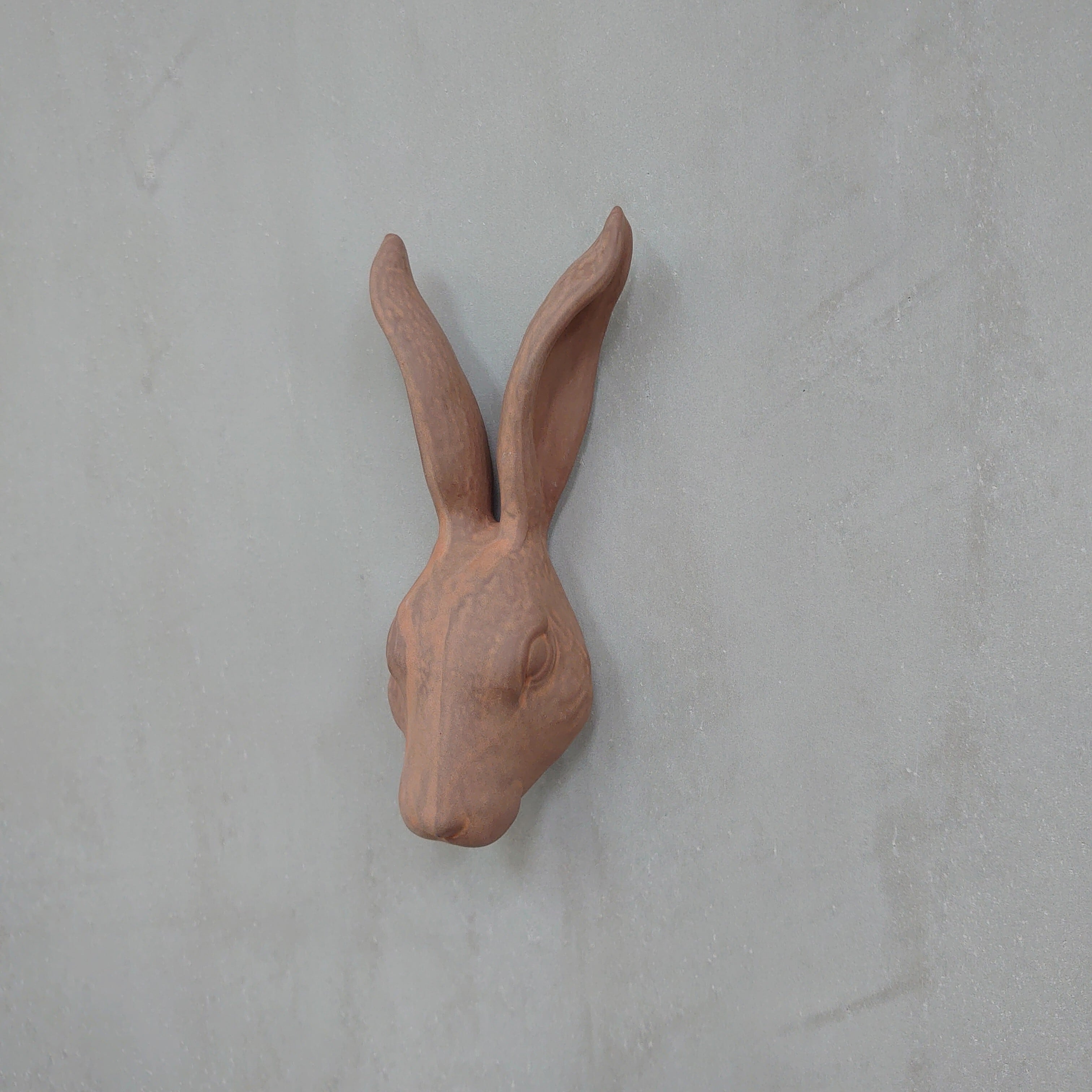 Hare Hook Brown KN-025H-20