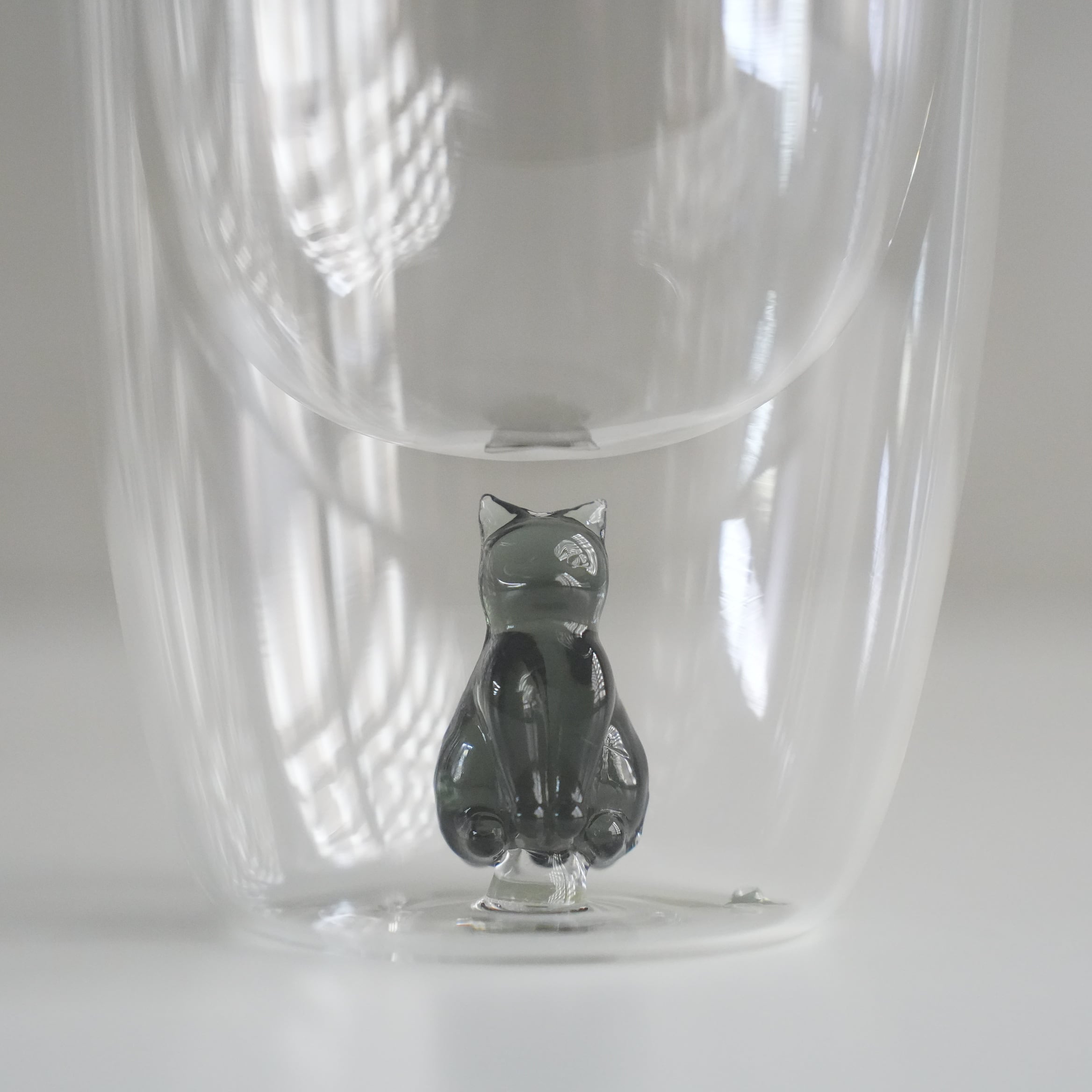 Double Wall Glass Tumbler