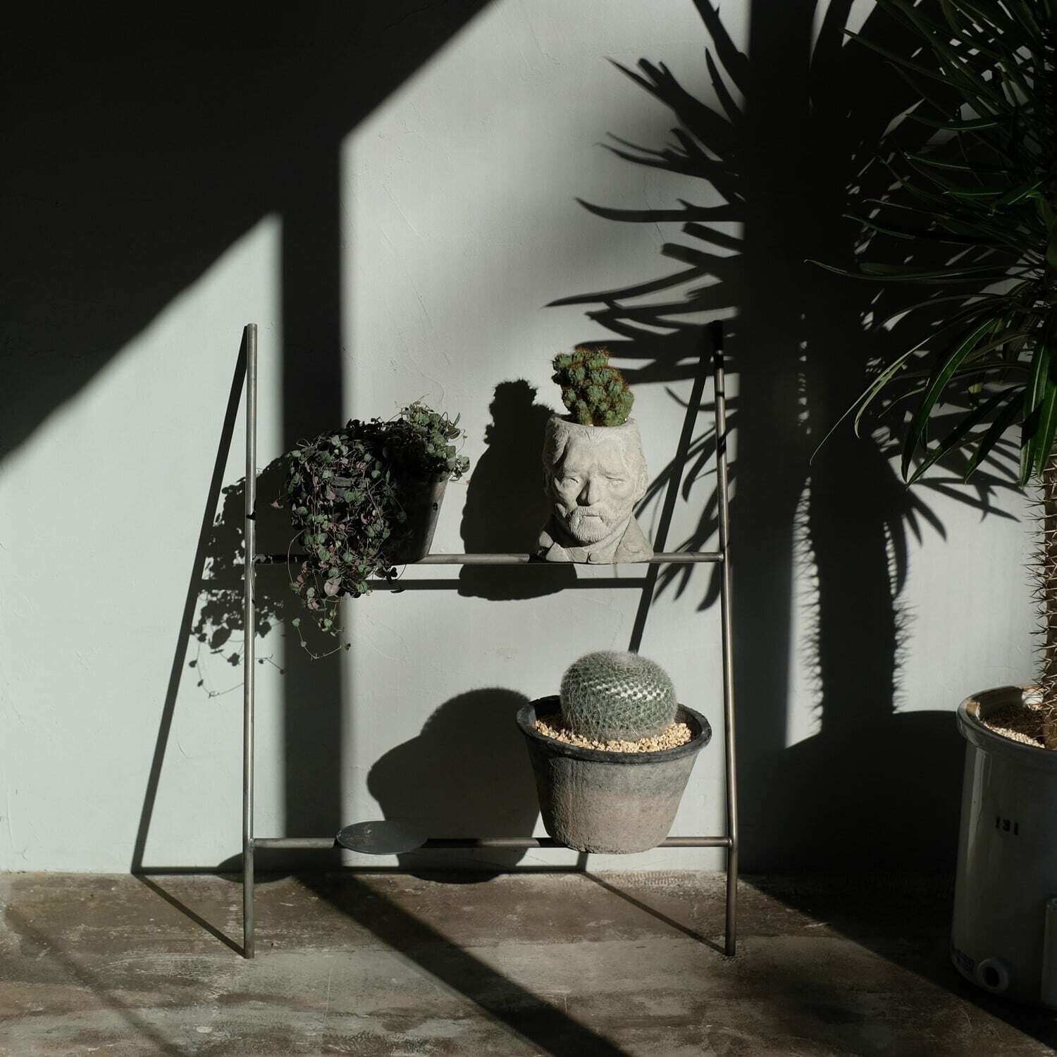 KNOP Ladder Rack WIDE