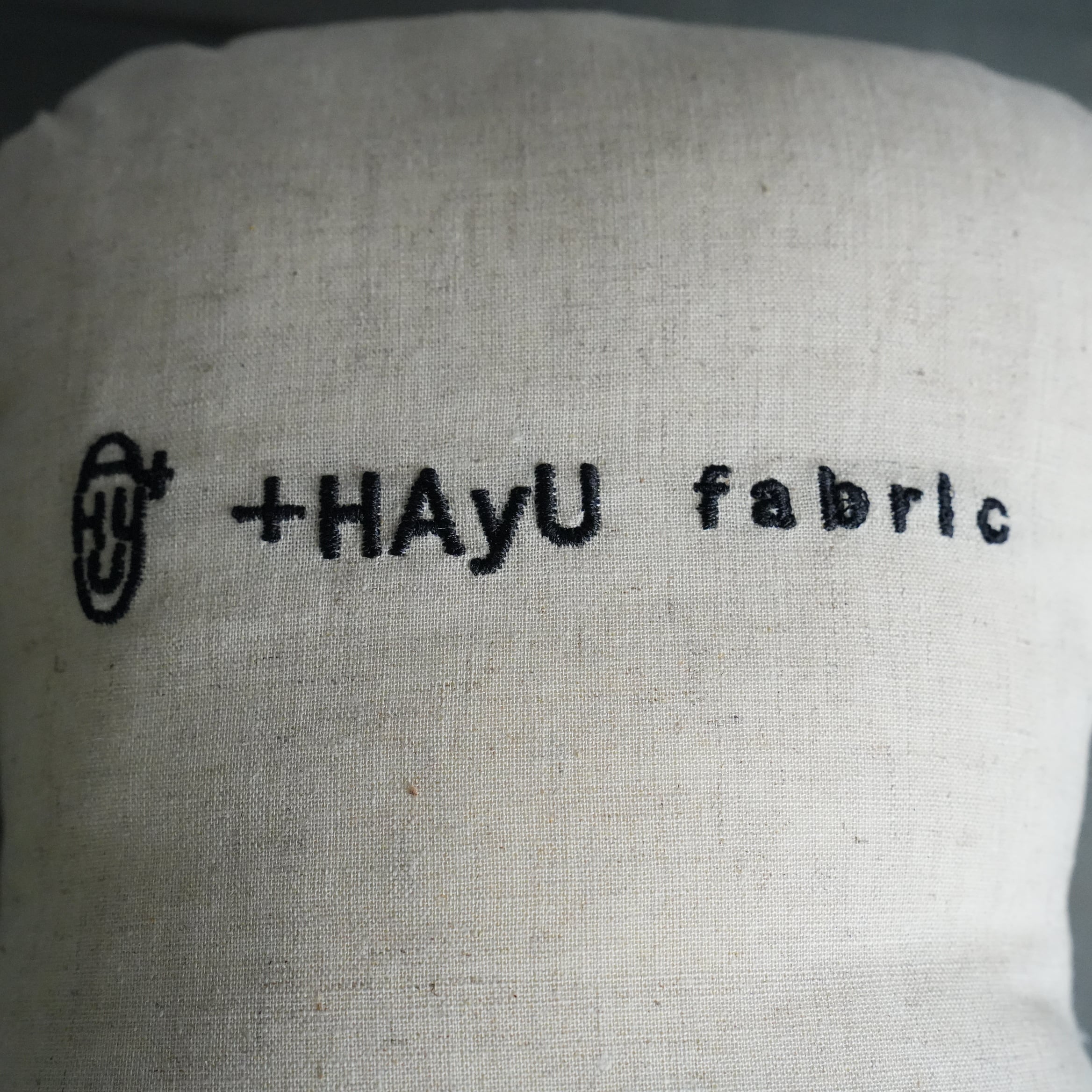 HAyU Cushion Cat
