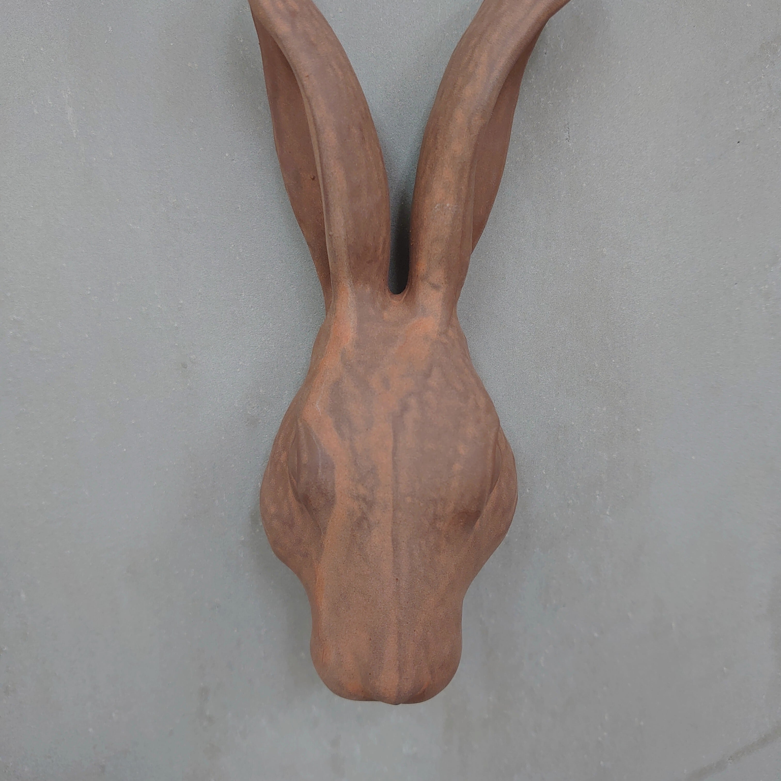 Hare Hook Brown KN-025H-20