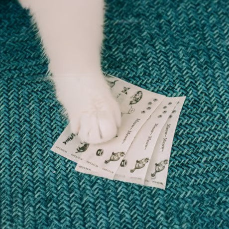OPTATUM Paper Incnese Kitten Dance