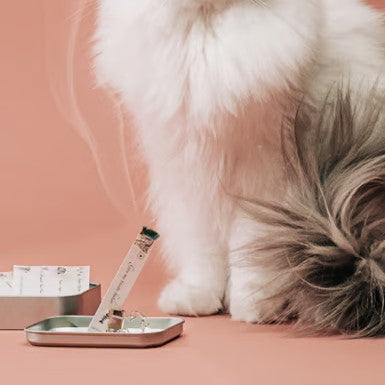 OPTATUM Paper Incnese Kitten Dance
