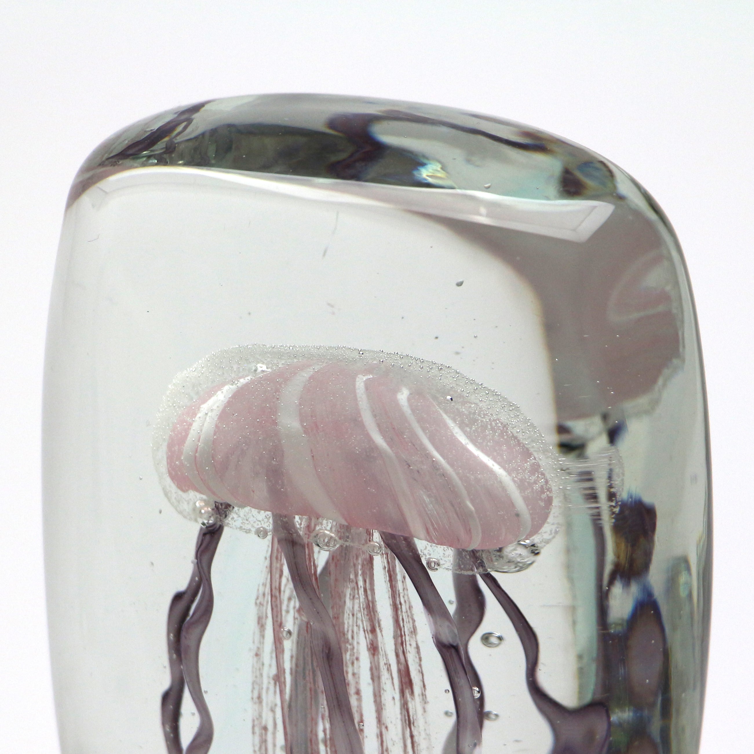 Jellyfish Twisted Leg