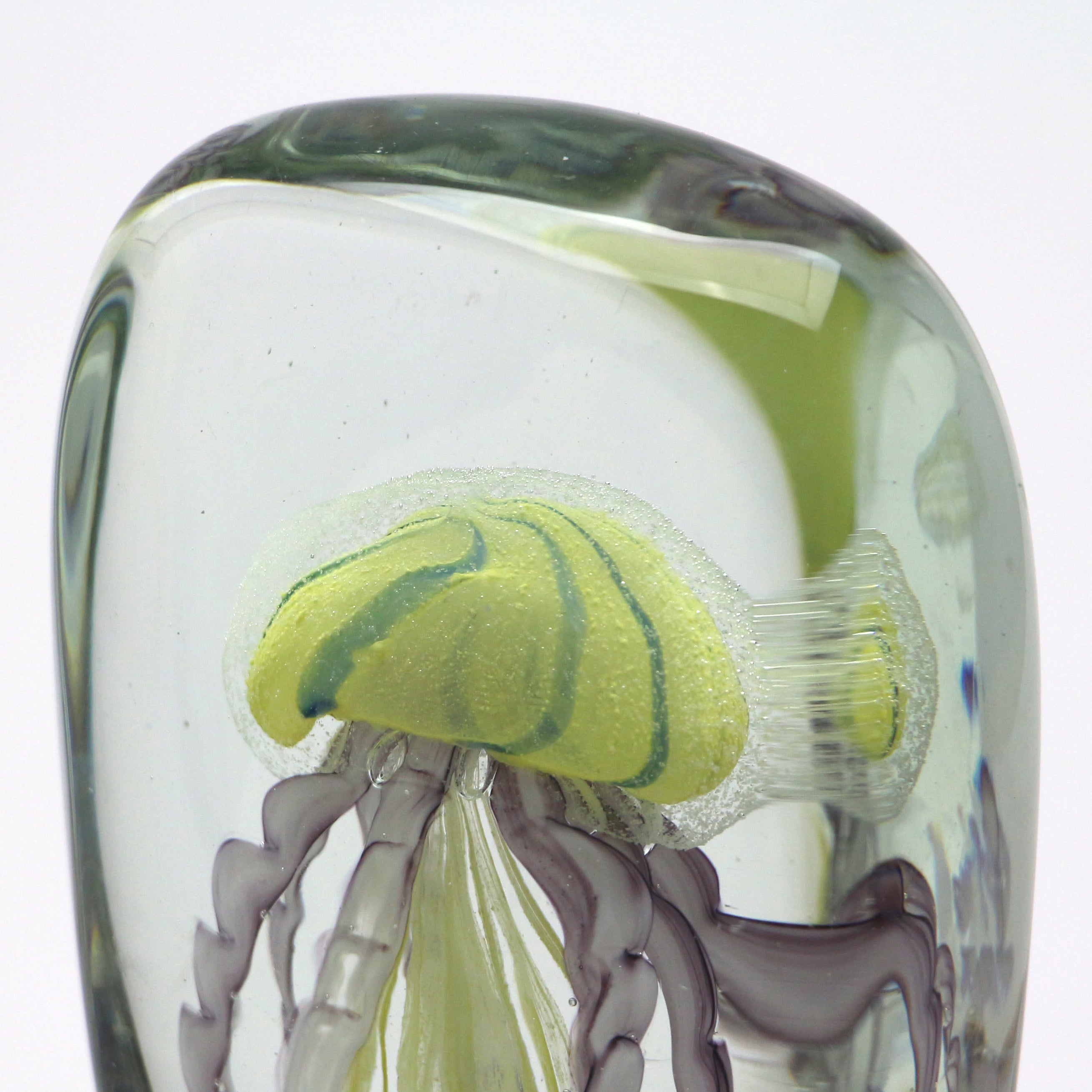 Jellyfish Twisted Leg