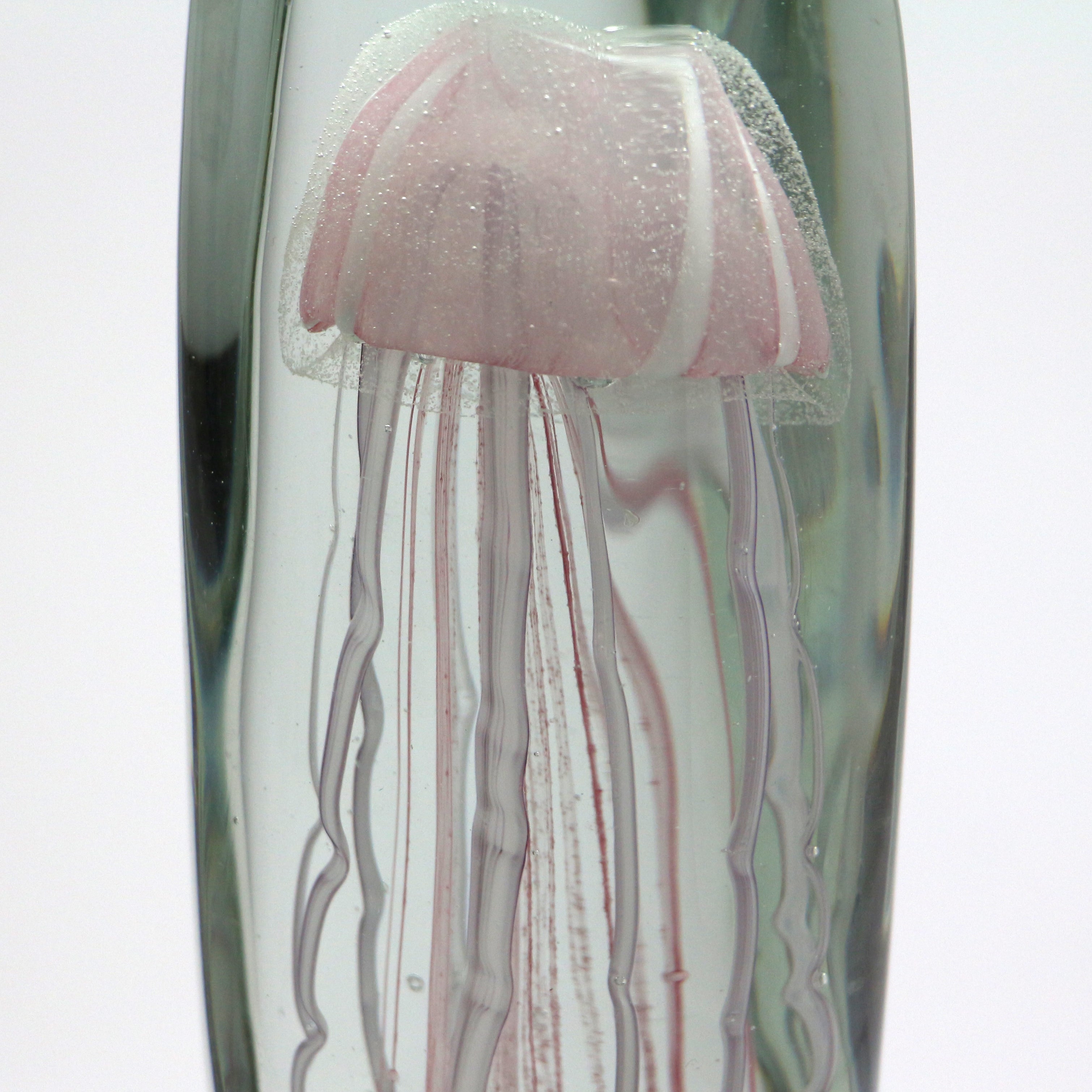 Jellyfish Twisted Leg
