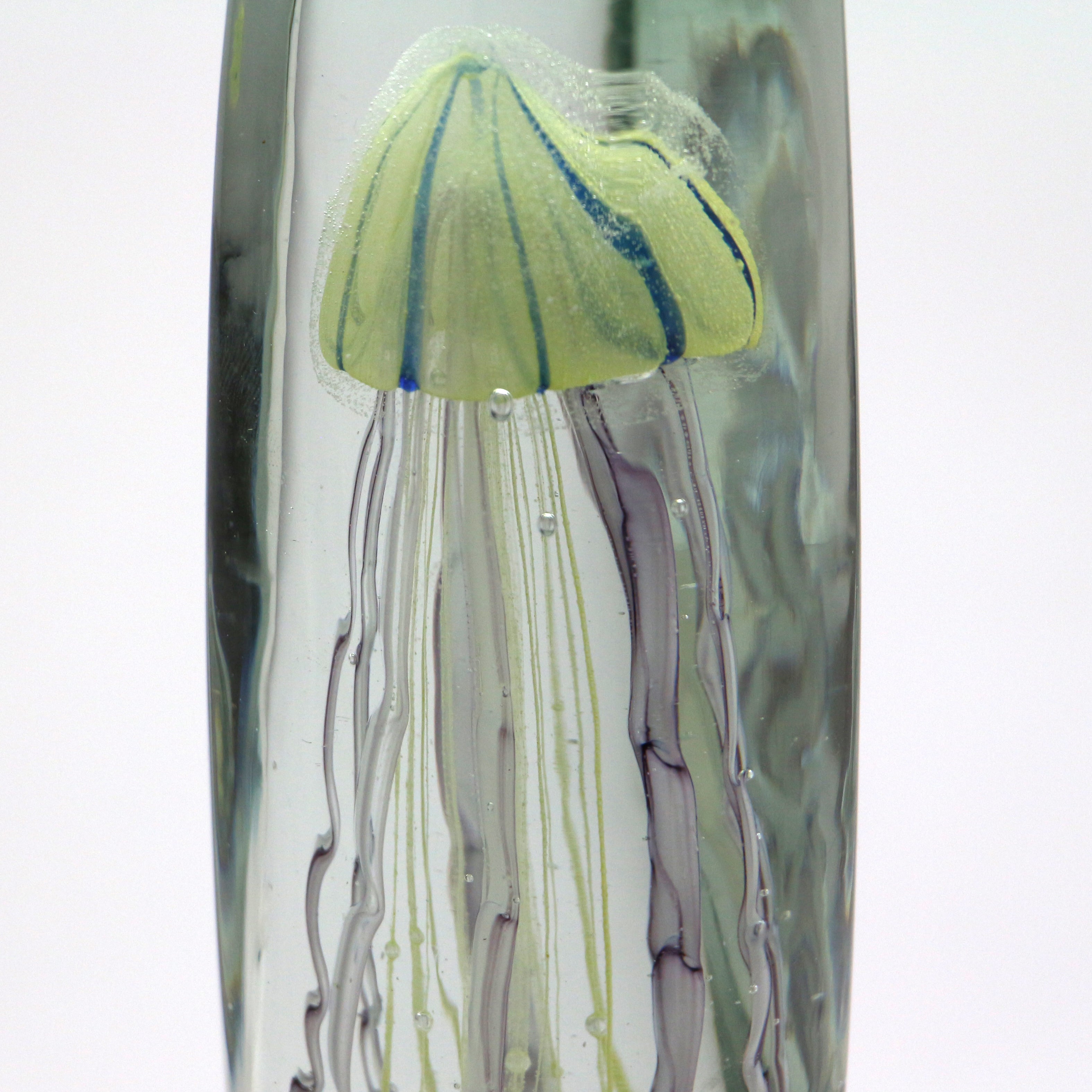 Jellyfish Twisted Leg