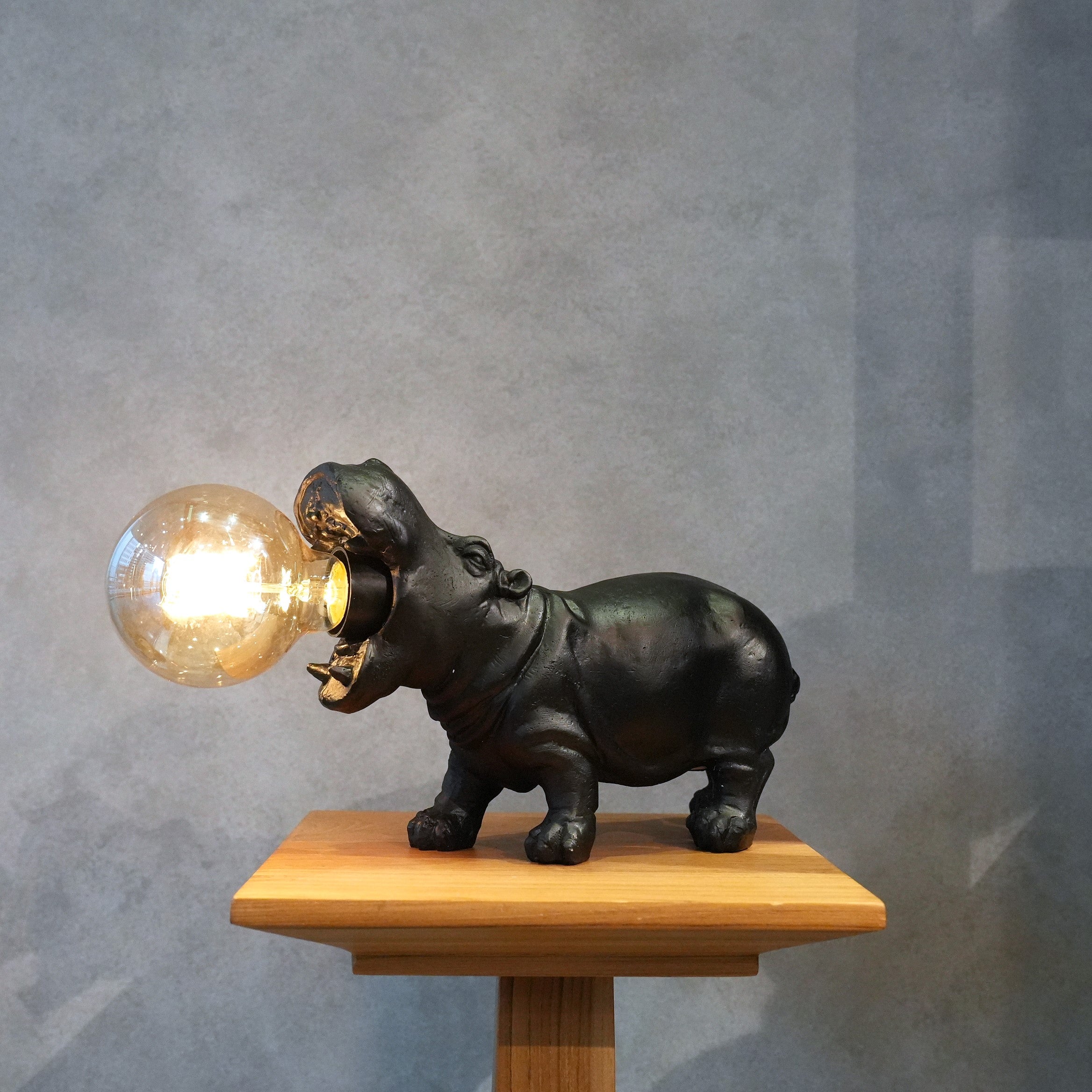 Animal Light Hippopotamus