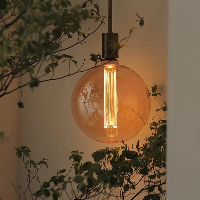 Bulb Sebub Bulb