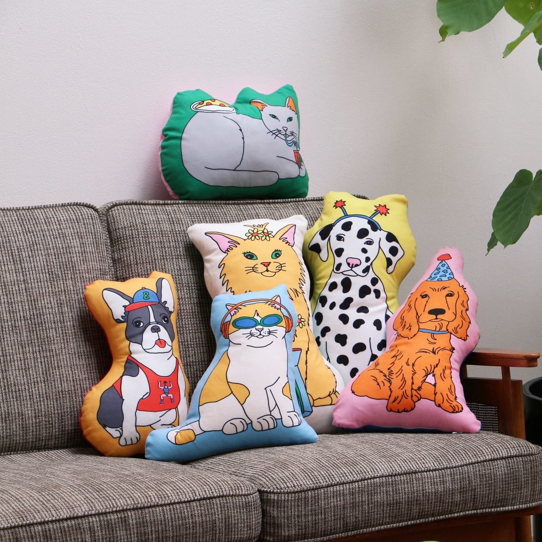 Collection