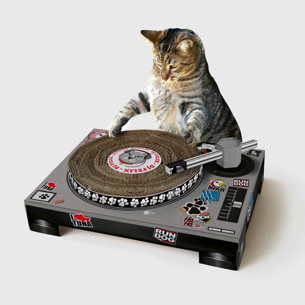 Cat Scratcher DJ