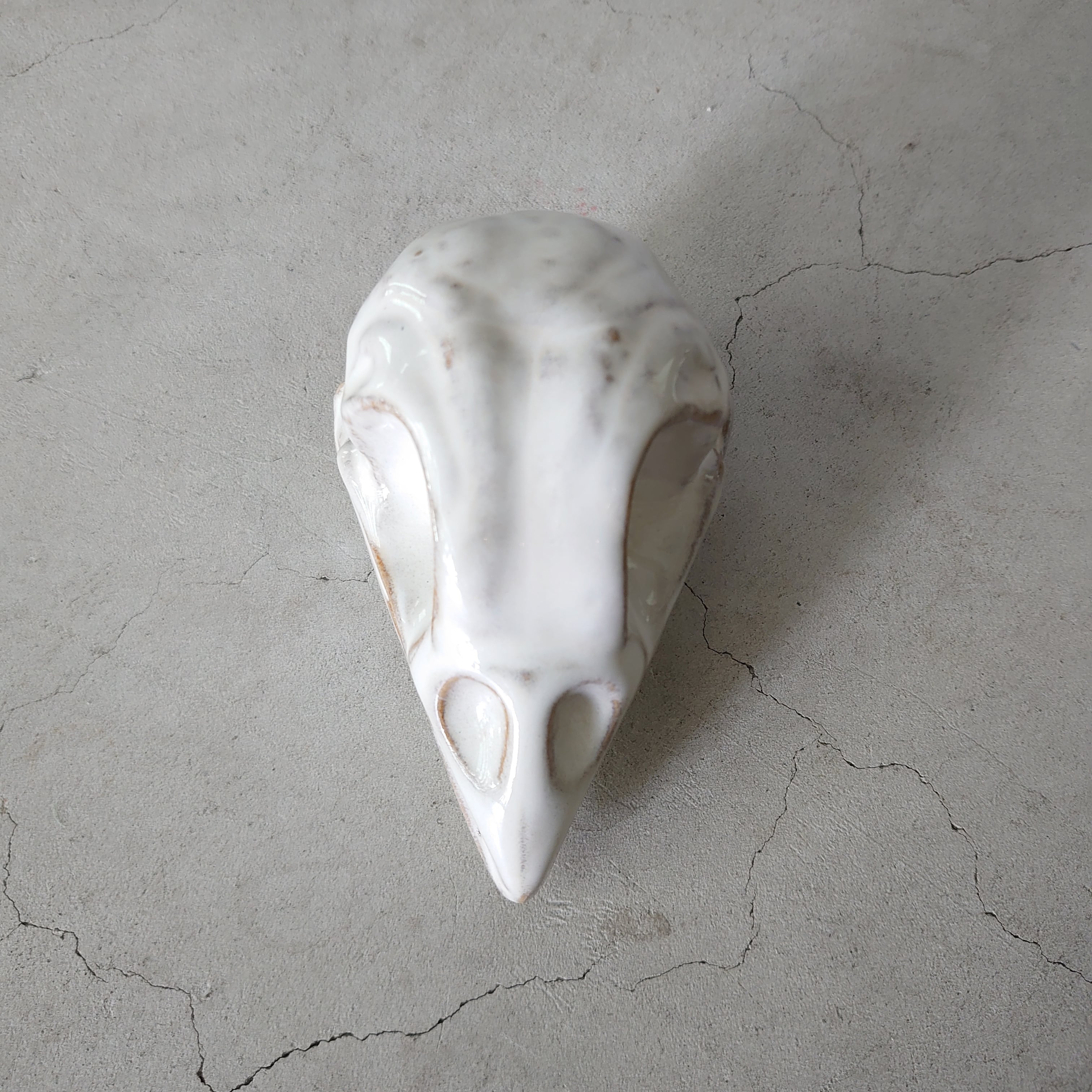 Sparrow Skull BSK-003