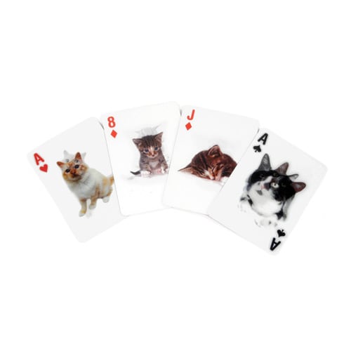 3D Cat Cards