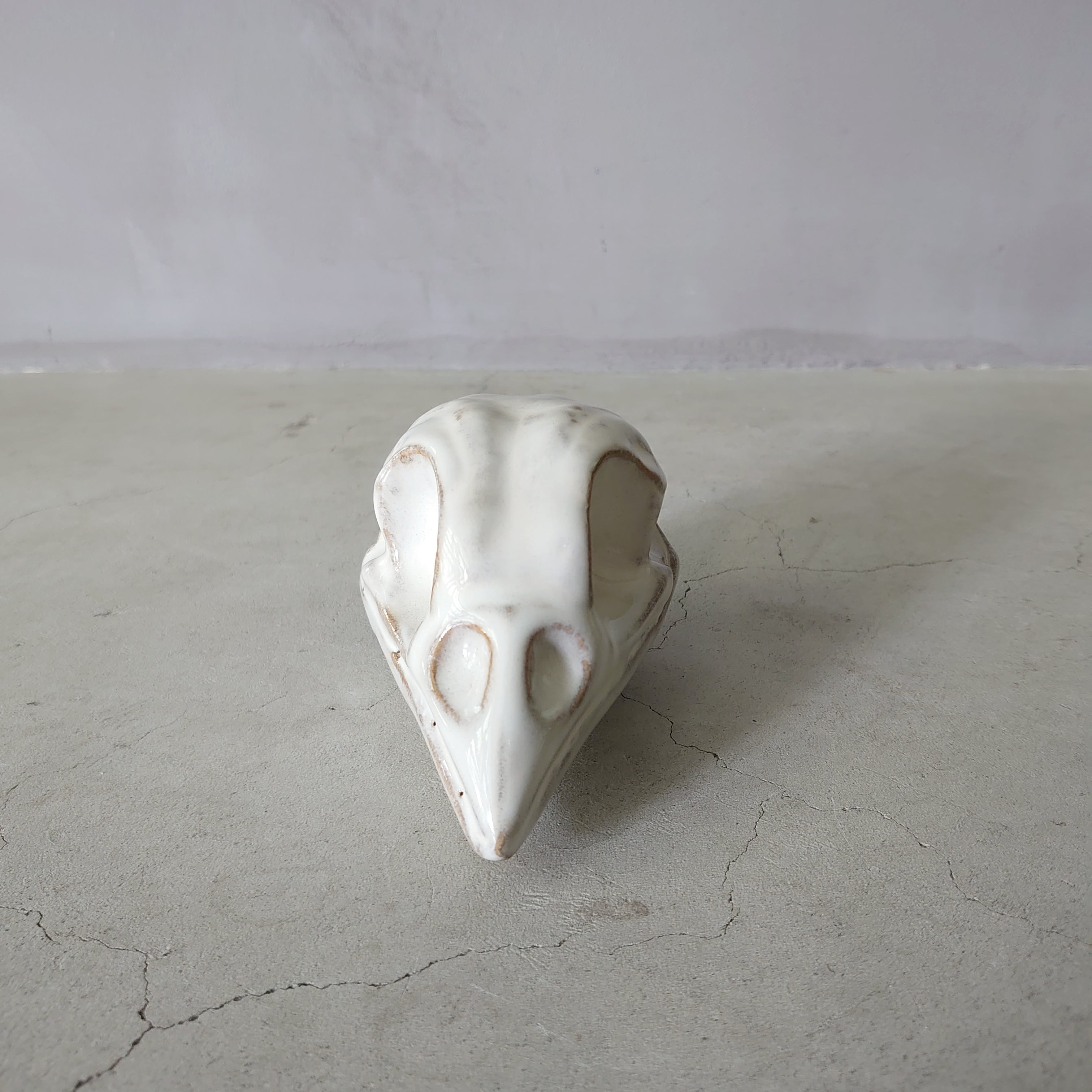 Sparrow Skull BSK-003