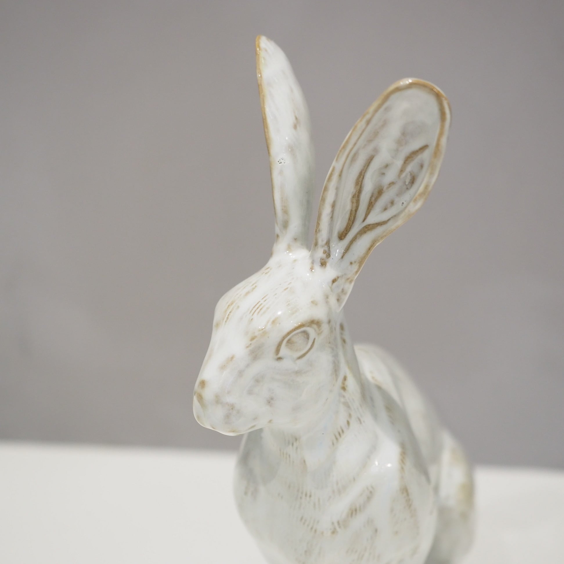 Hare PP-022