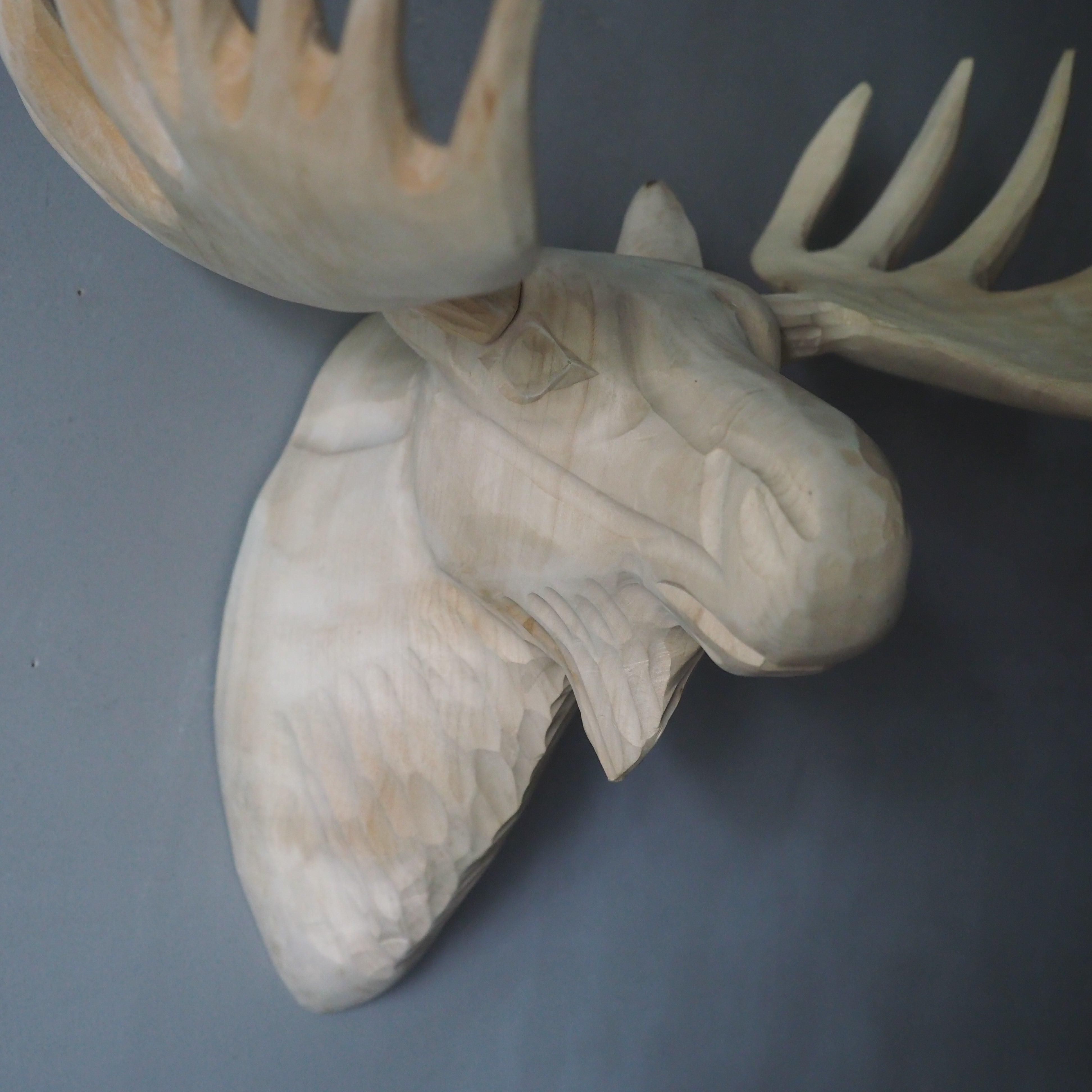 Wood Animal Head / Moose