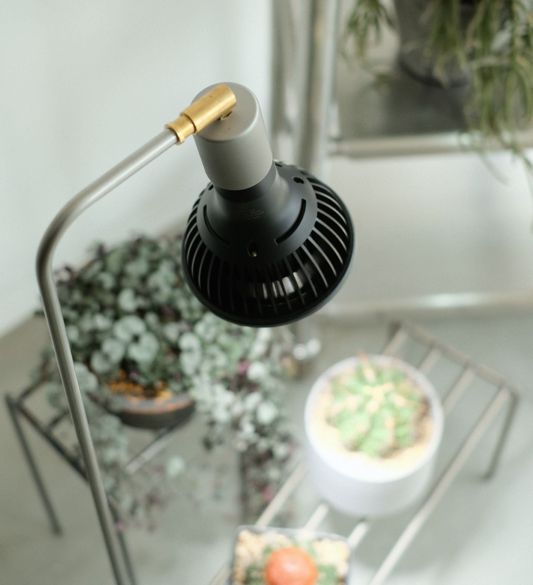 KNOP ADJUST LAMP