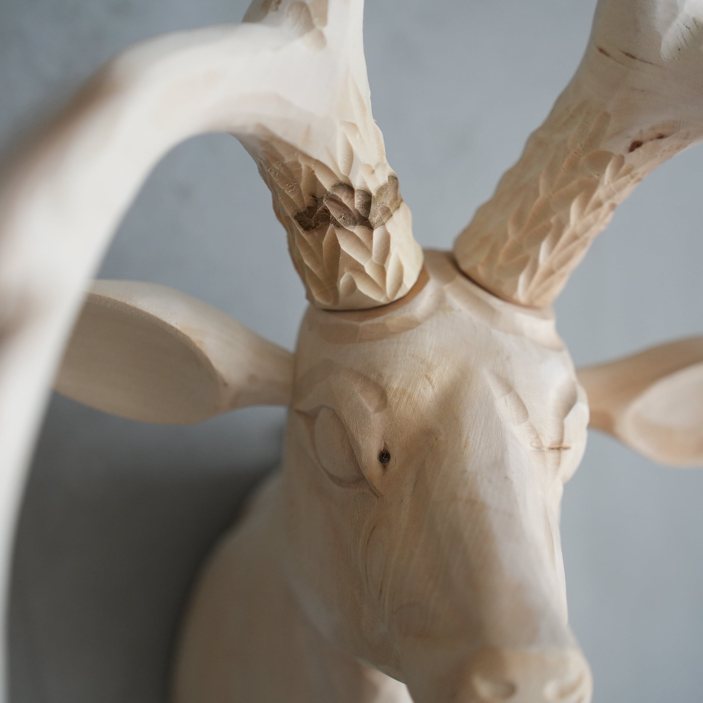 Wood Animal Head / Deer