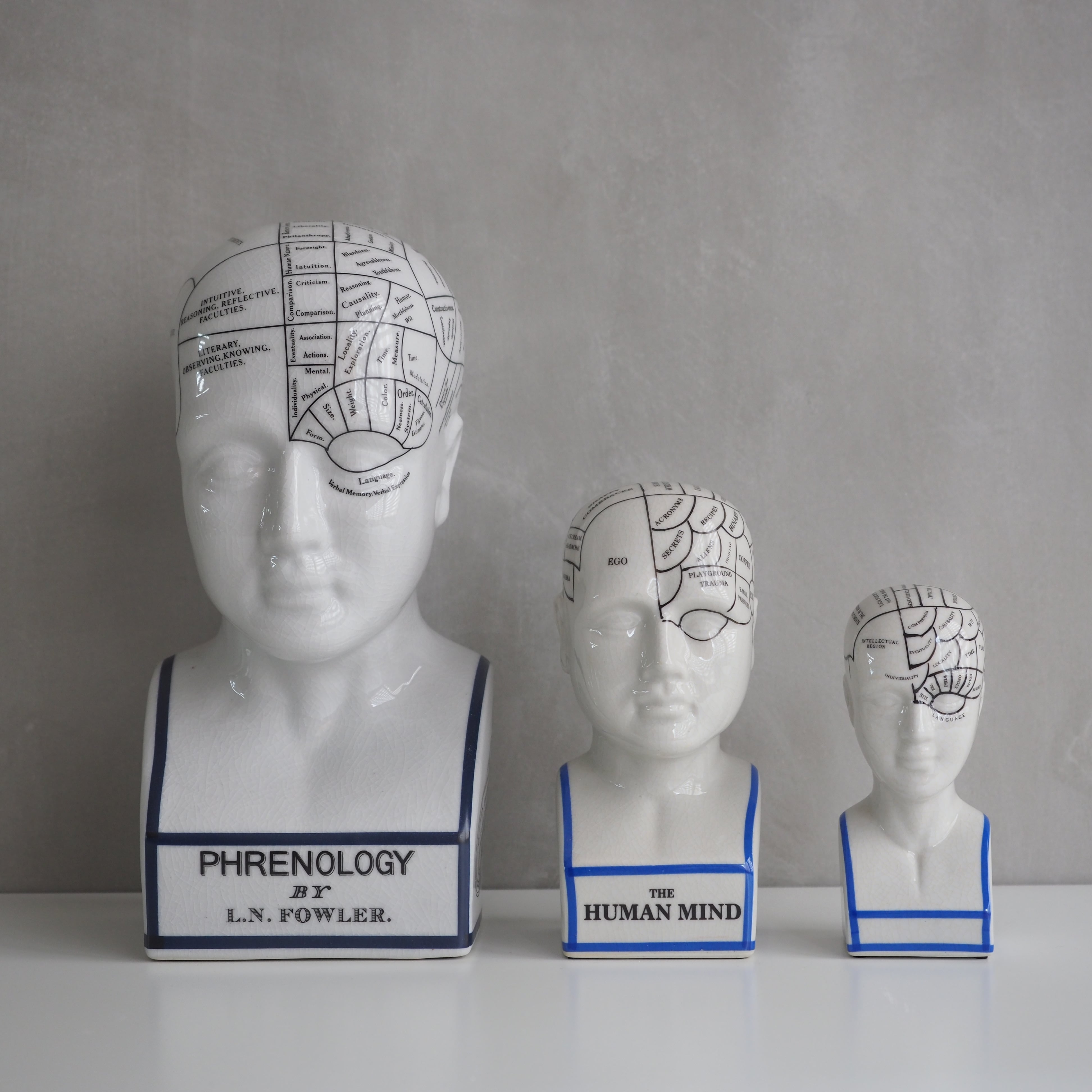 THE PHRENOLOGY S