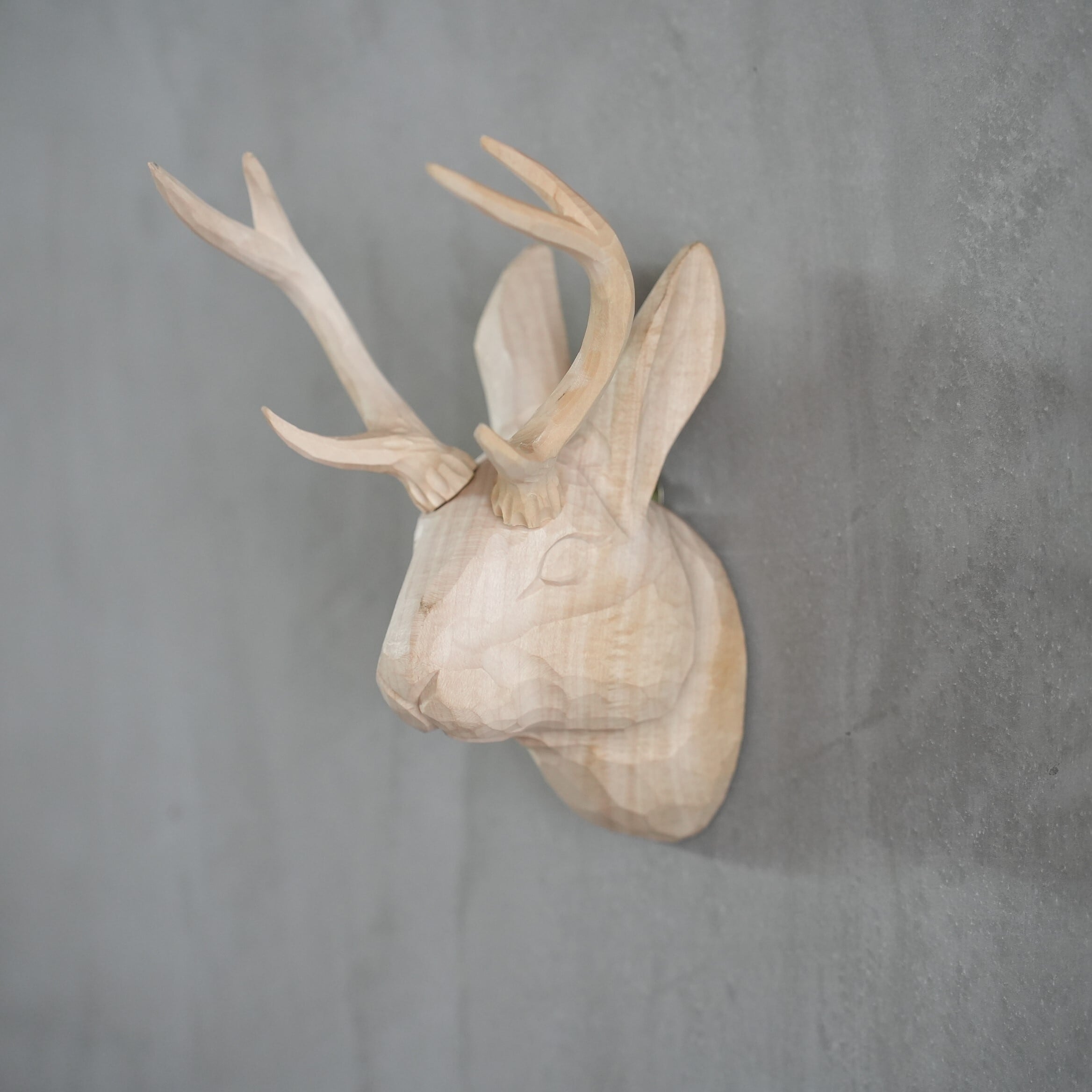 Wood Animal Head / Jackalope