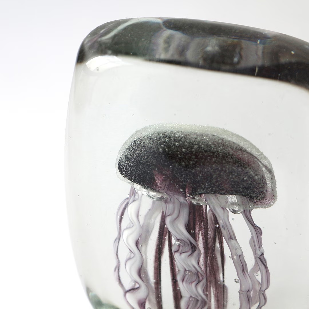 Jellyfish Twisted Leg