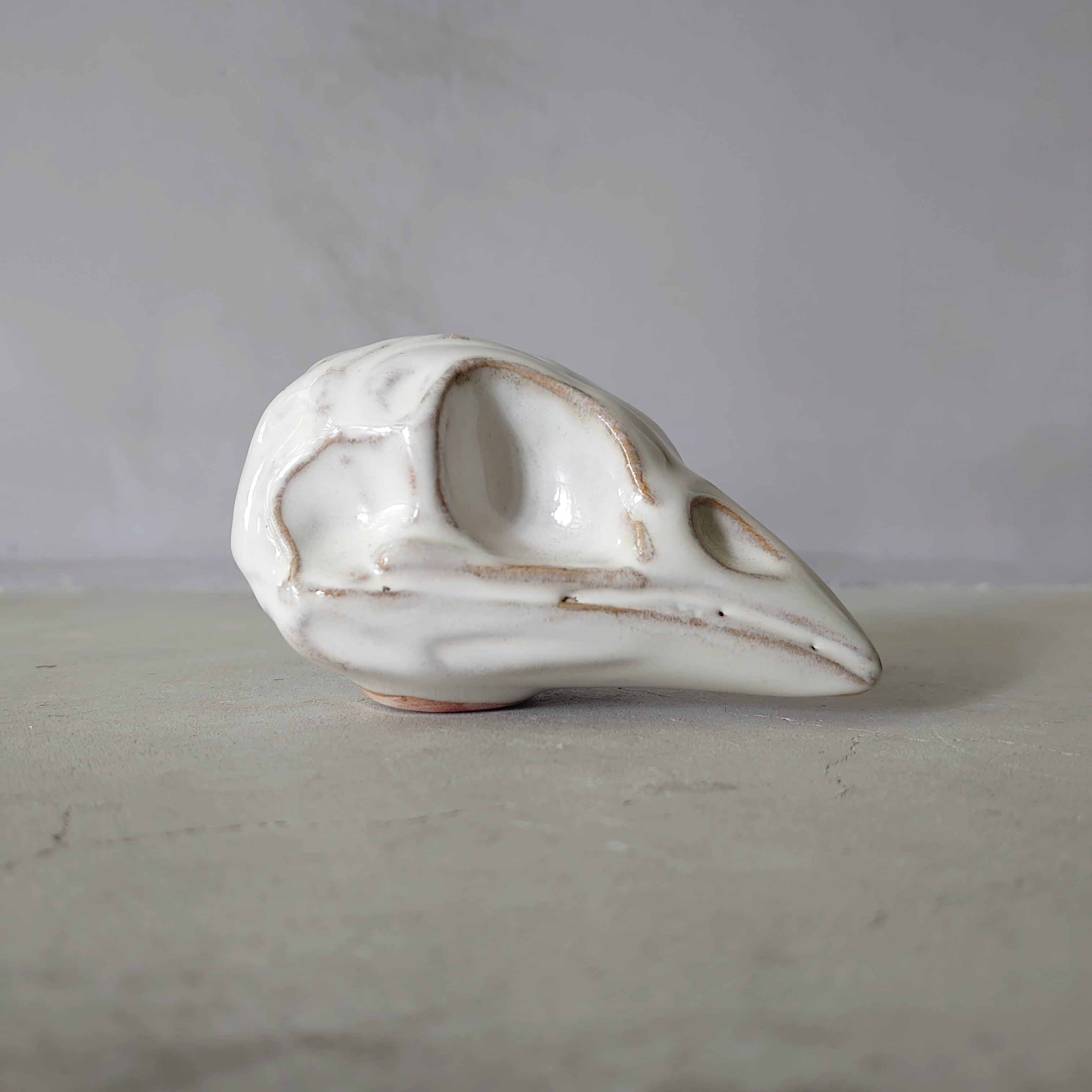 Sparrow Skull BSK-003