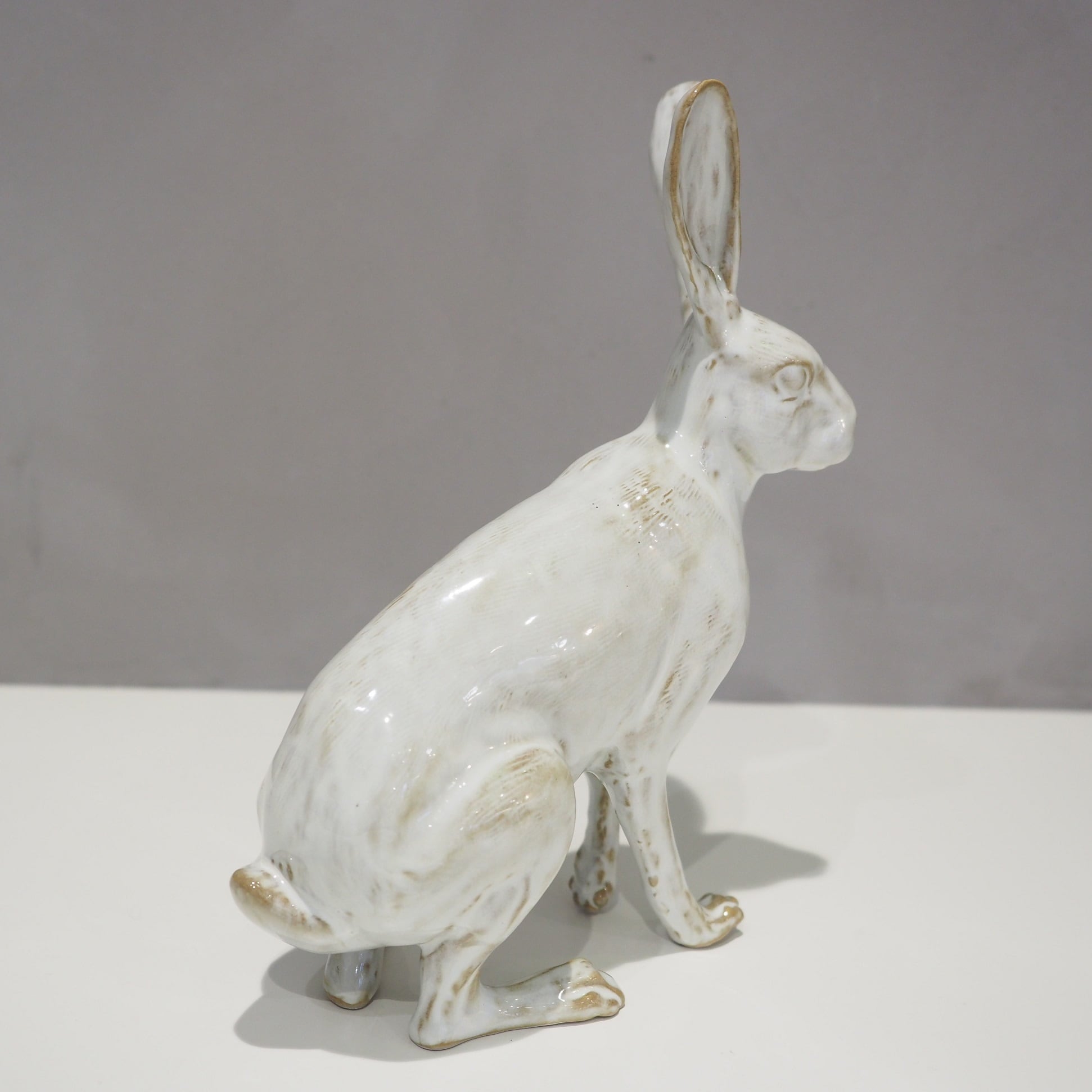 Hare PP-022