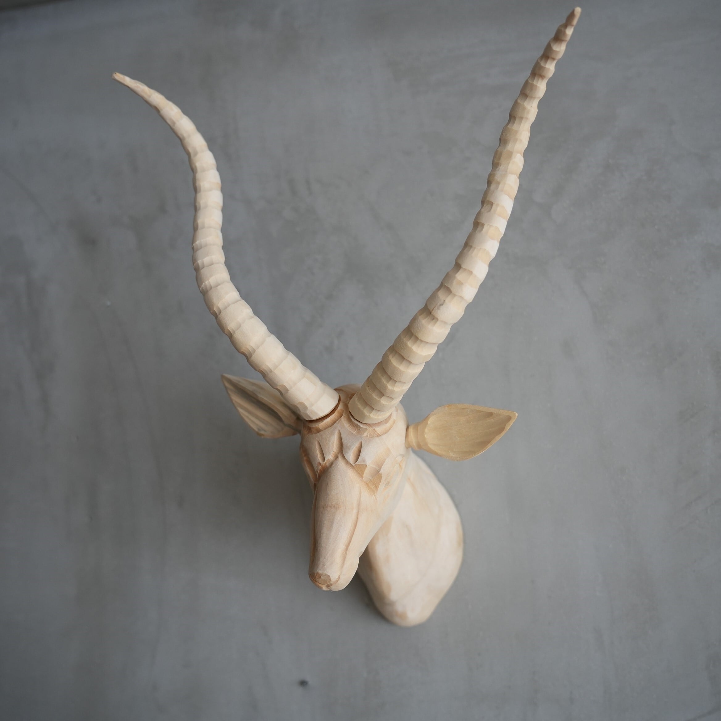 Wood Animal Head / Gazelle