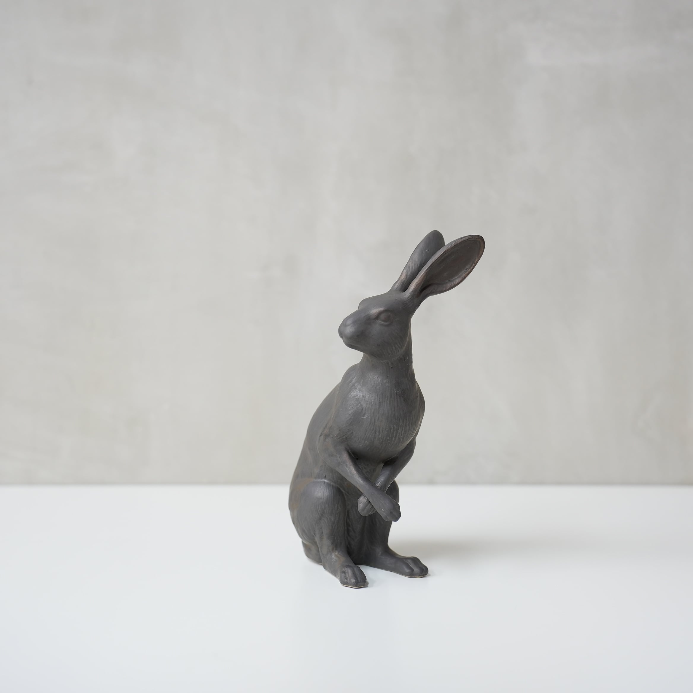 Curious Hare Black PP-023-04