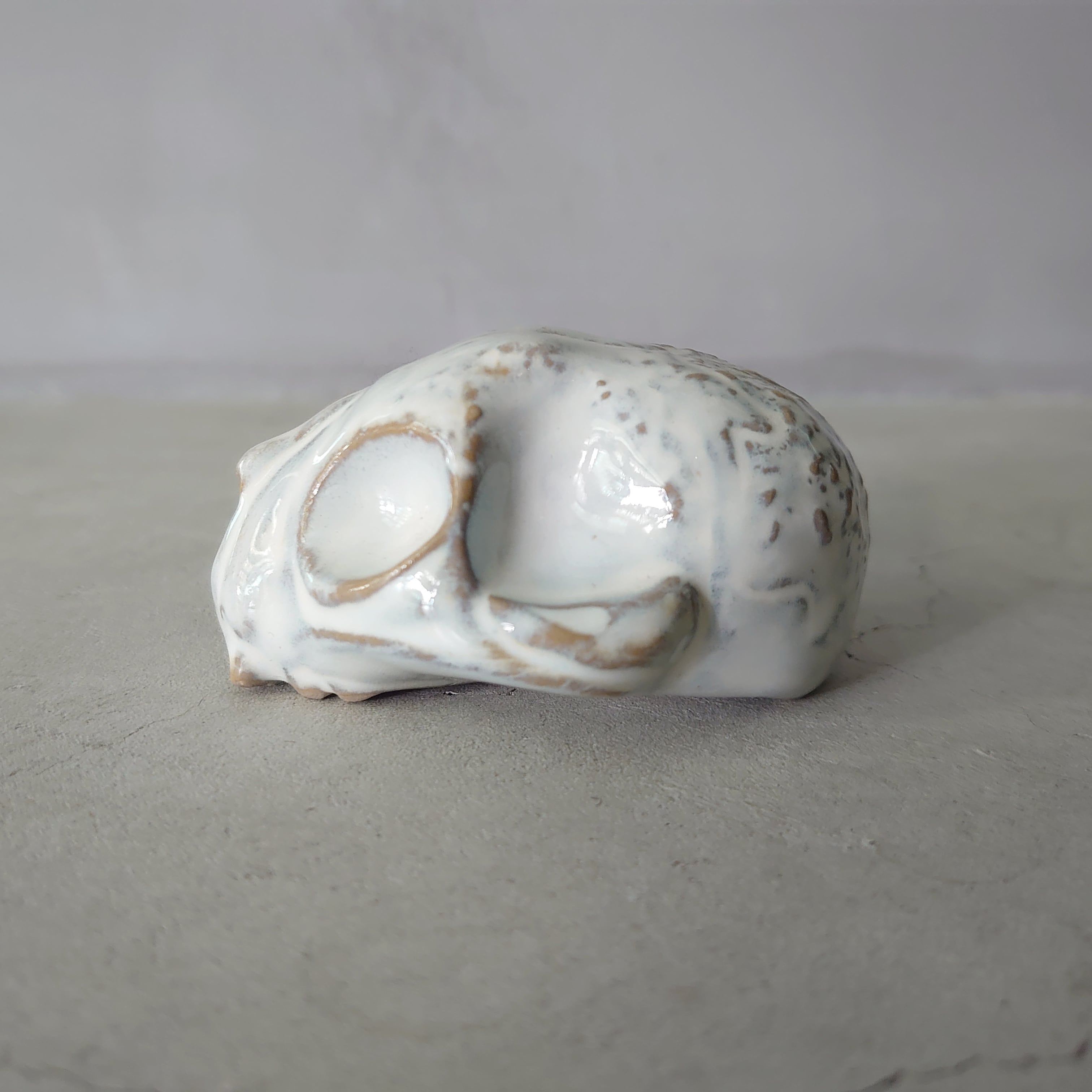 Baby Cat Skull BSK-005