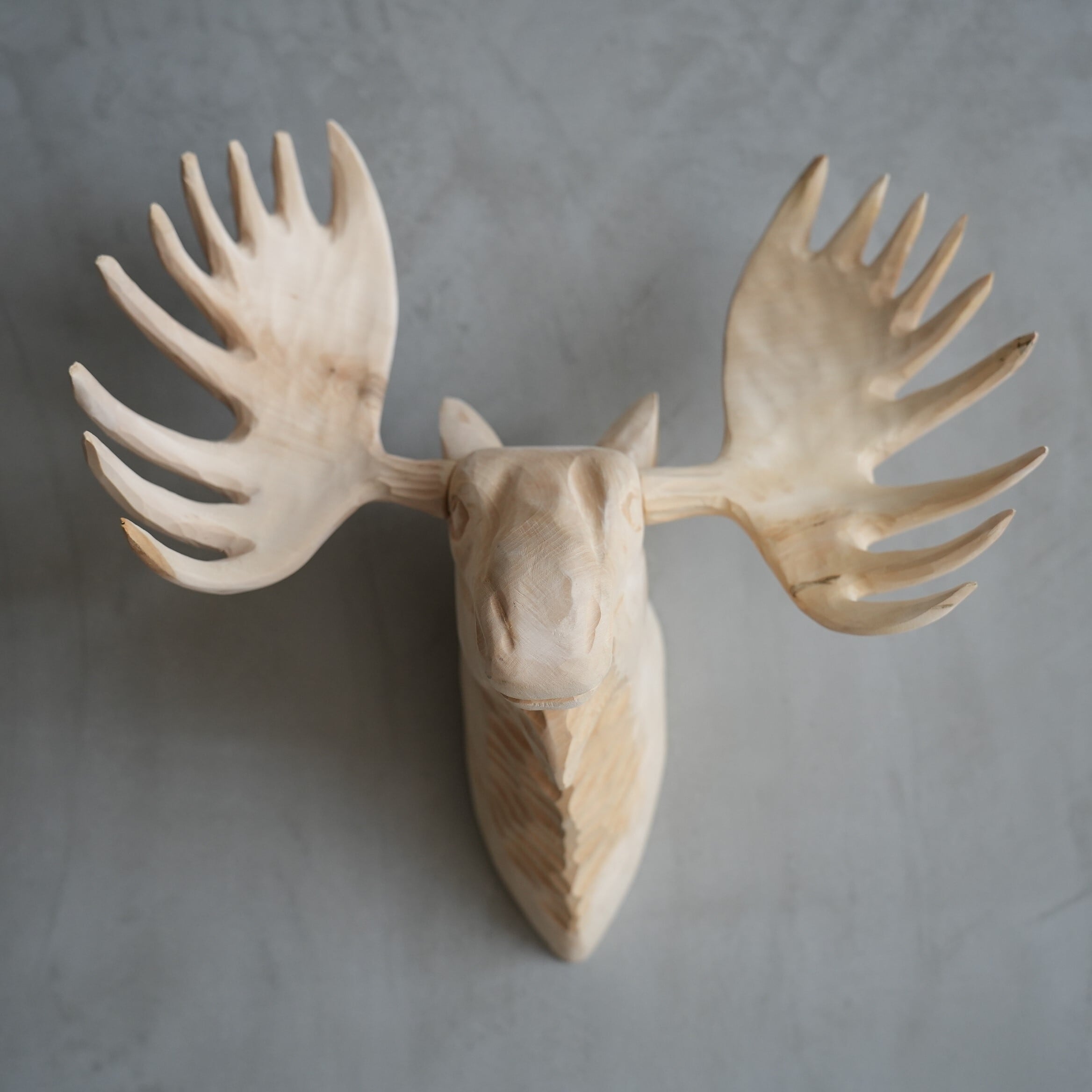 Wood Animal Head / Moose