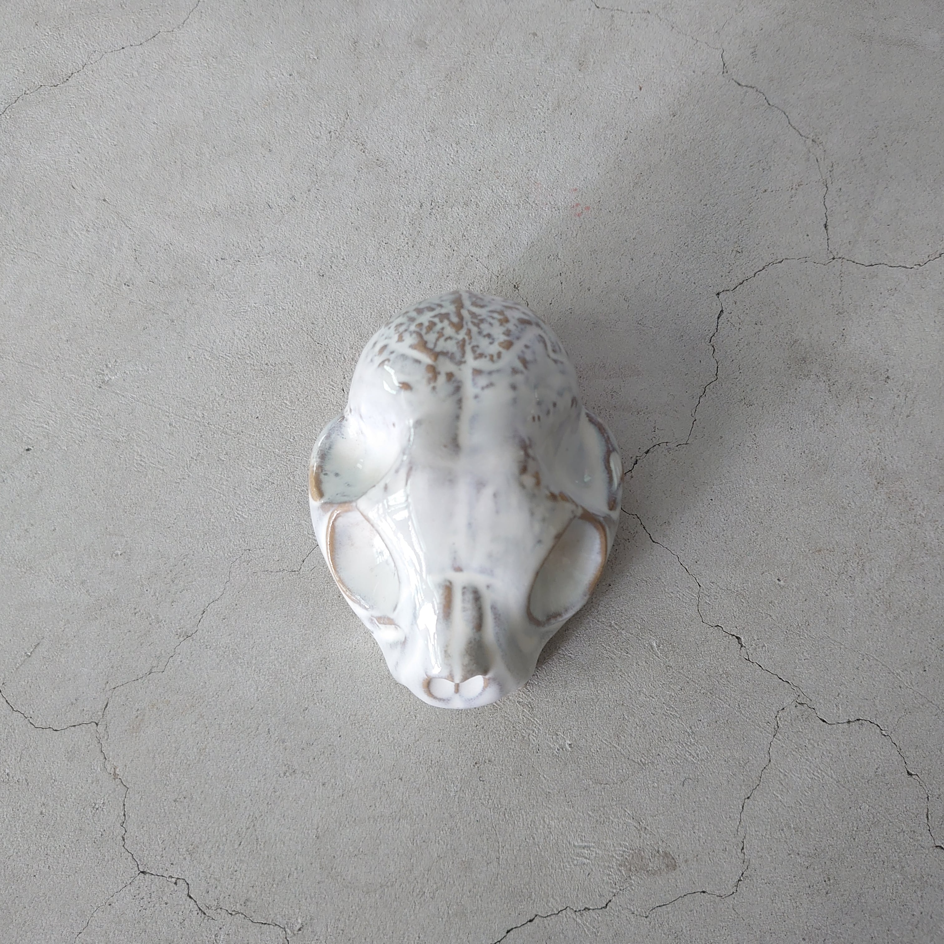 Baby Cat Skull BSK-005