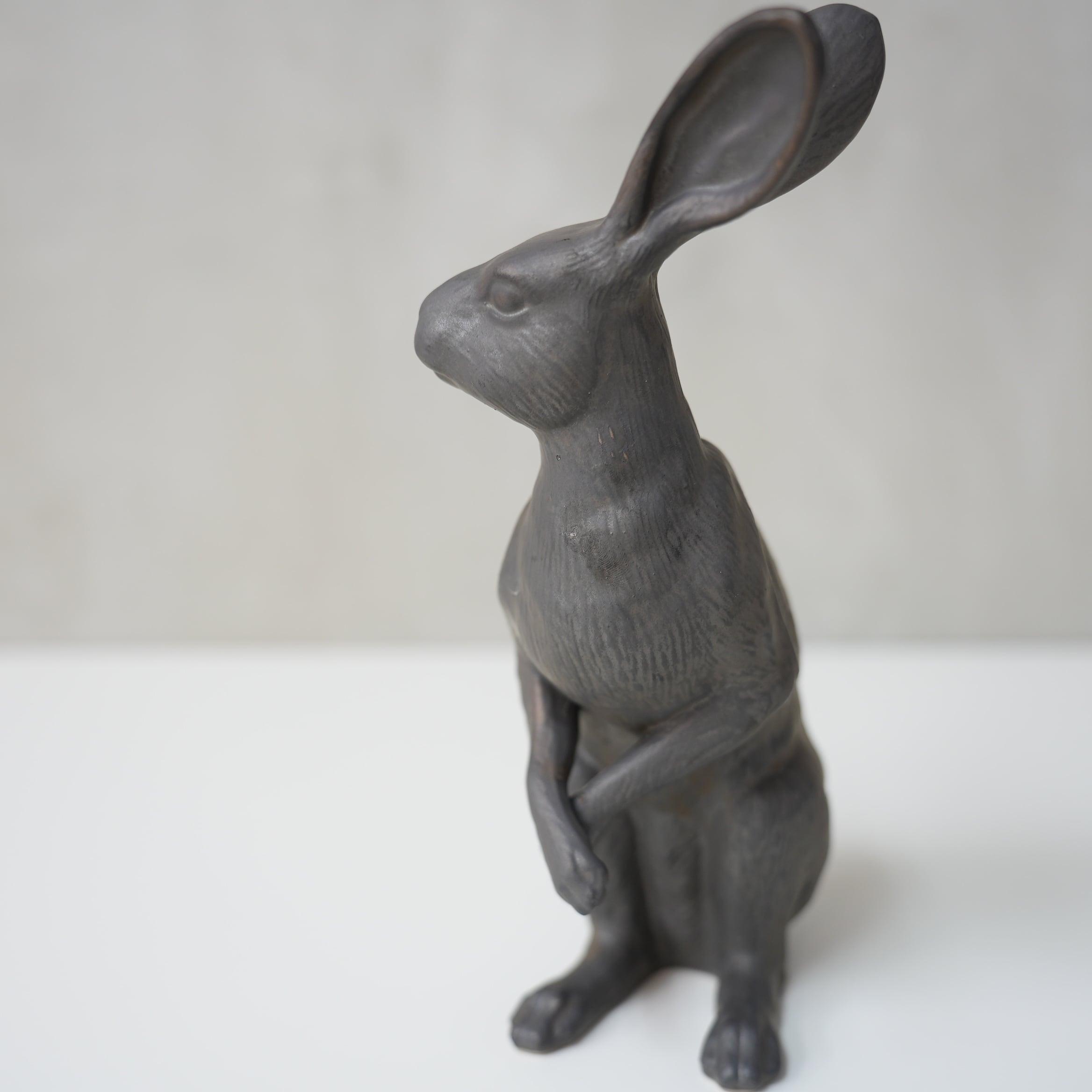 Curious Hare Black PP-023-04