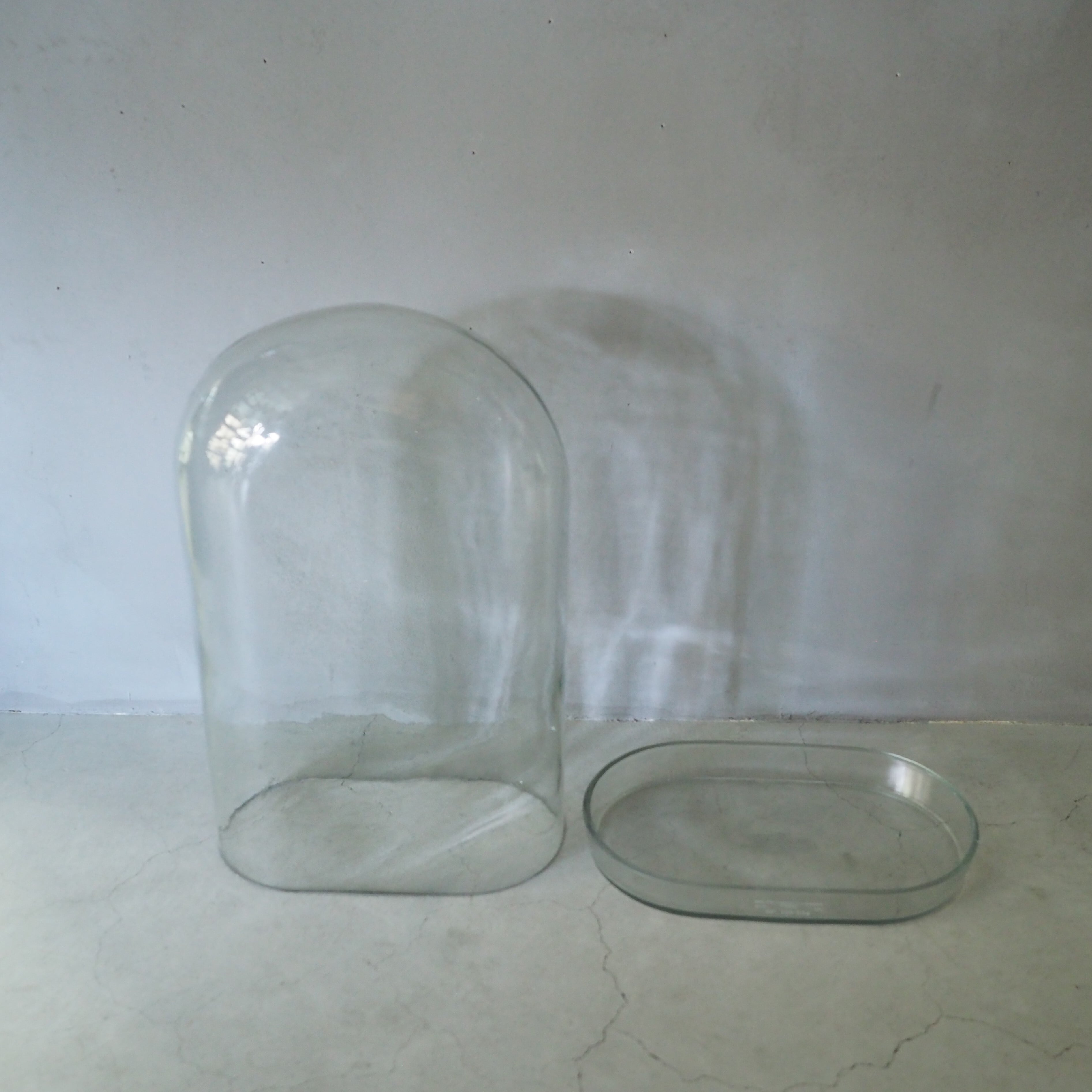 DISPLAY GLASS DOME