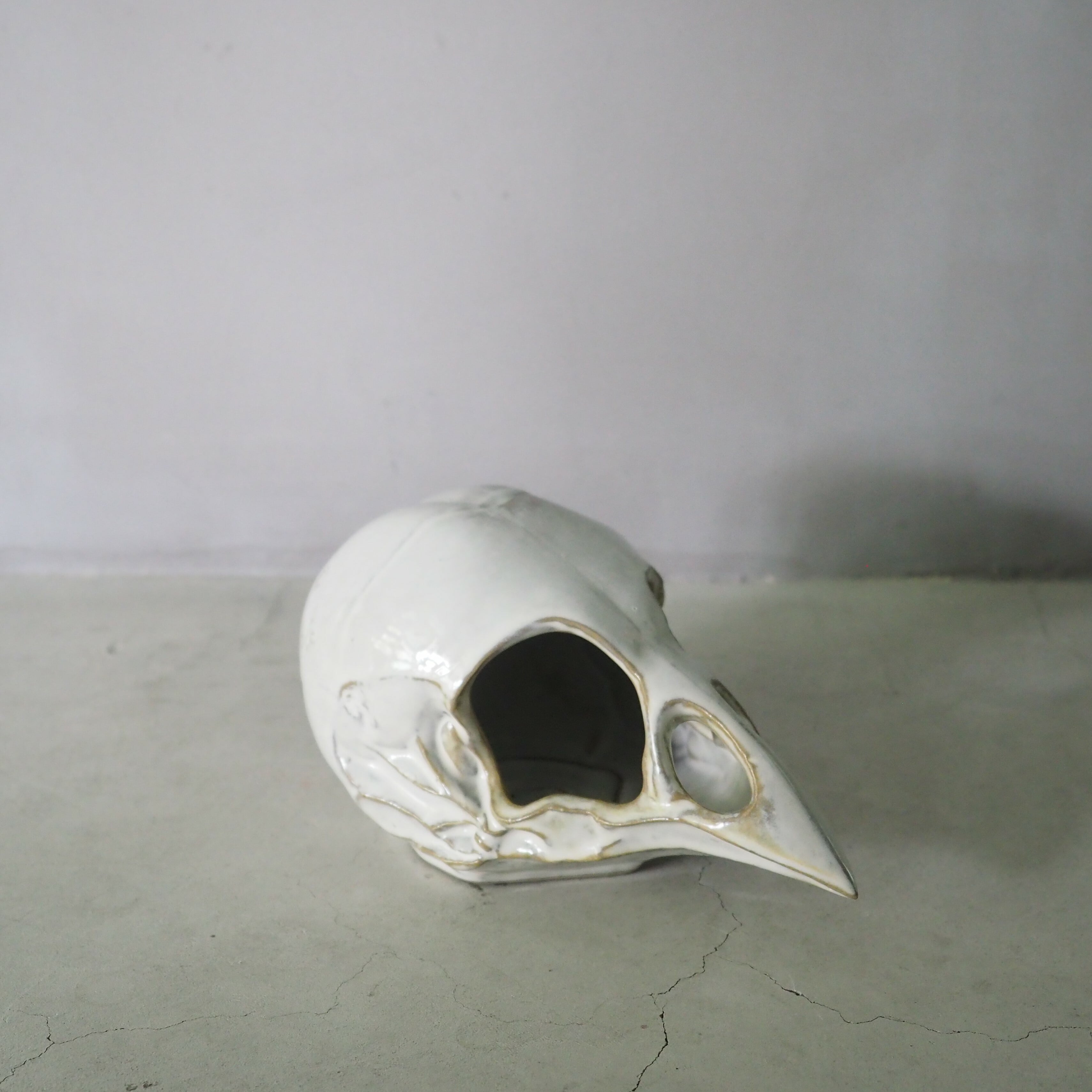 Bird Skull Eye Socket BSK-001