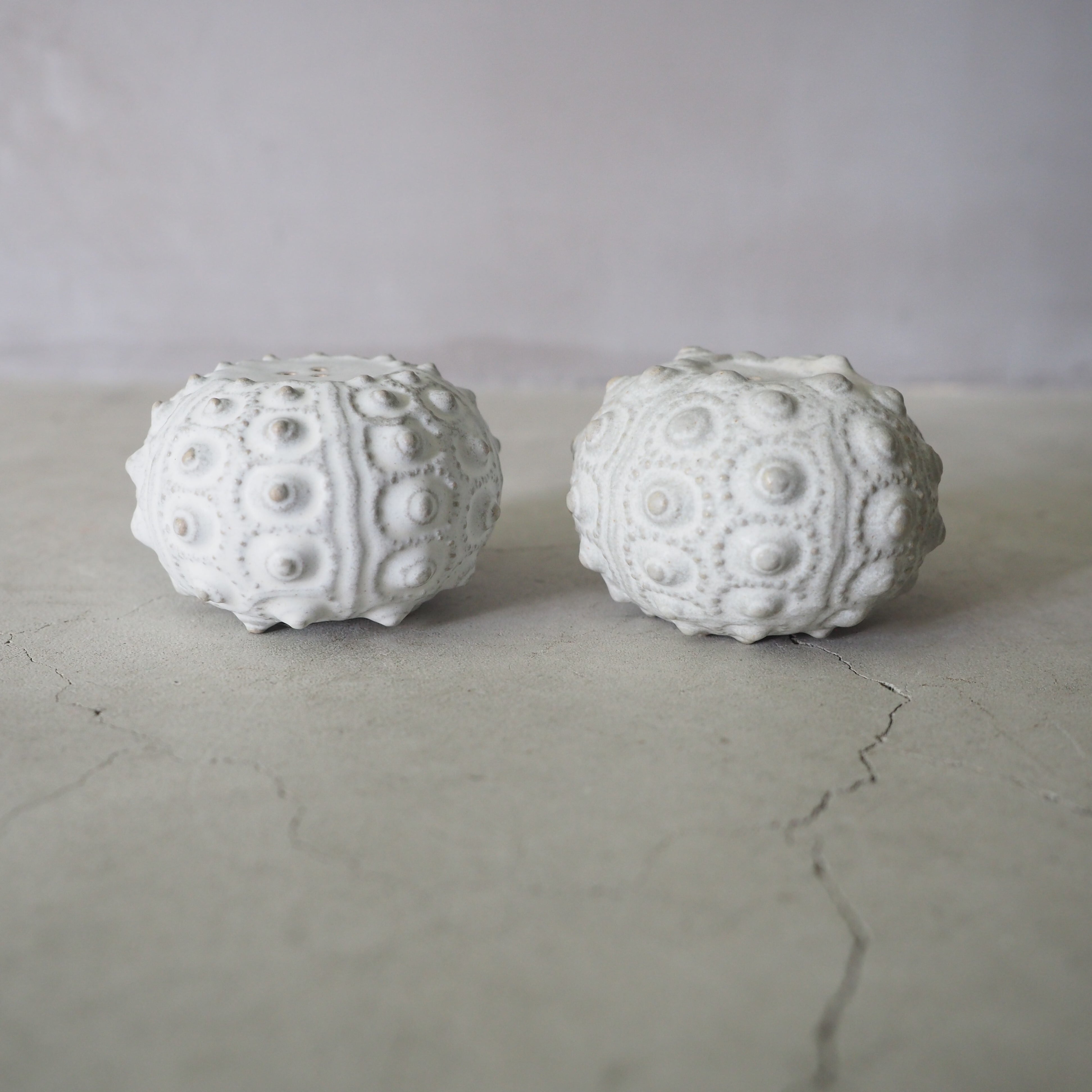 Salt & Pepper Set of 2 OCT-100