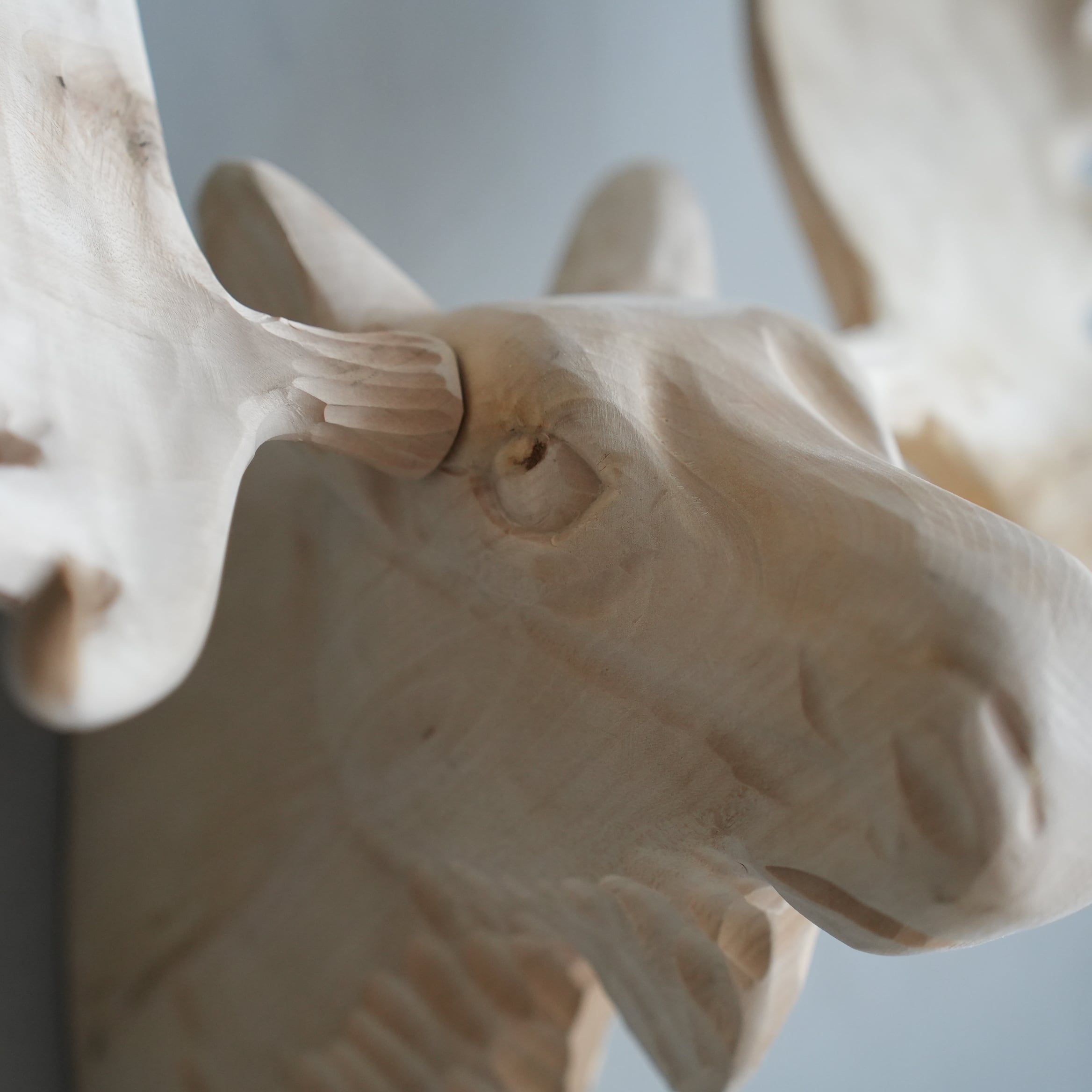 Wood Animal Head / Moose