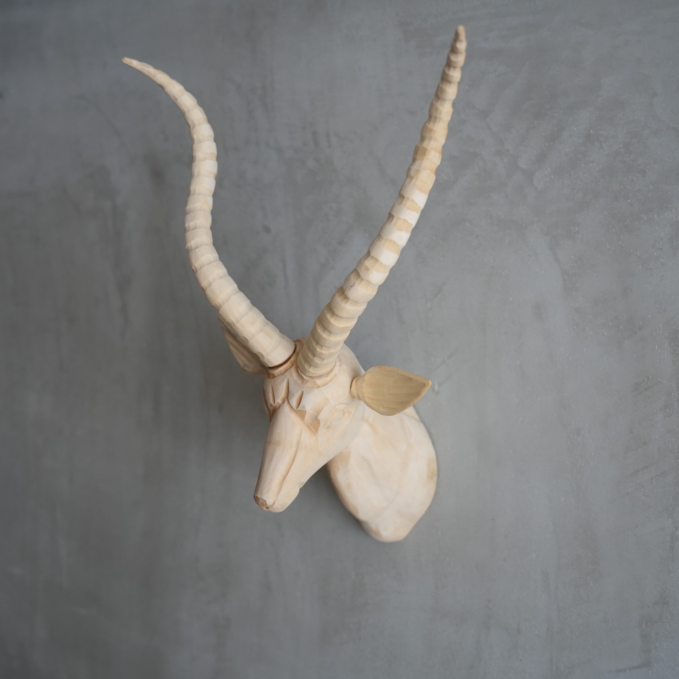 Wood Animal Head / Gazelle